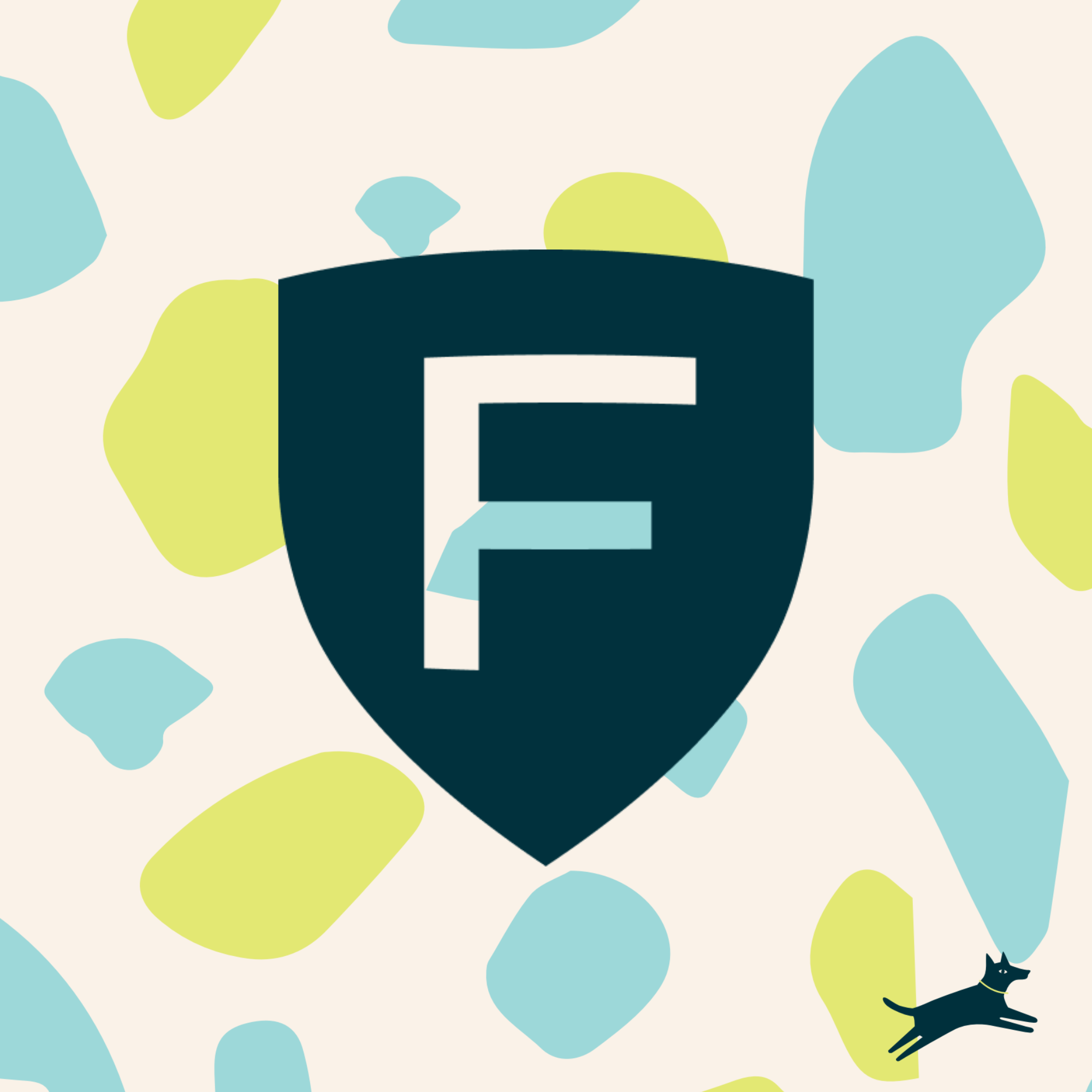 Transforming Figo for the Modern Consumer into a $50MM+ Business