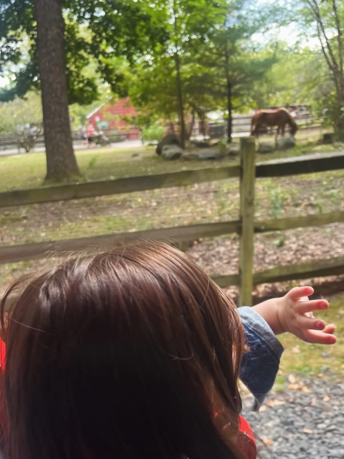 A young child with brown hair reaches out towards a fenced area with two horses grazing in the background, surrounded by trees.