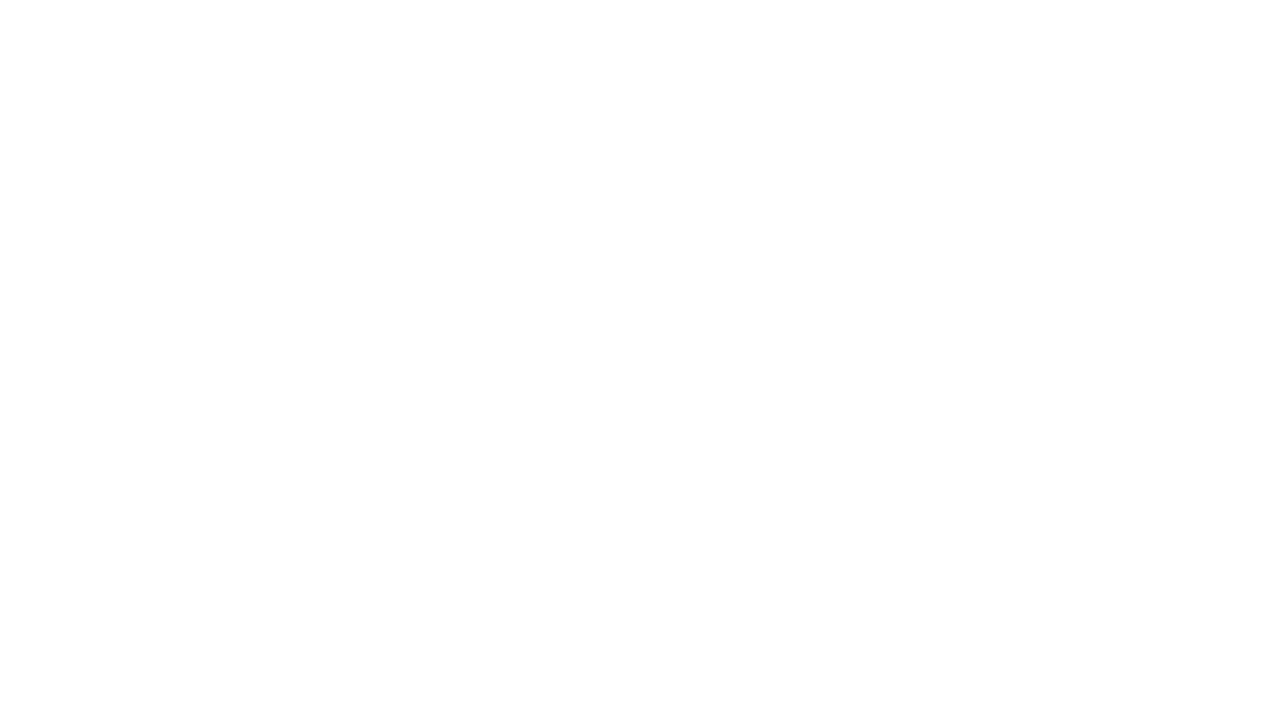 bconsani.com
