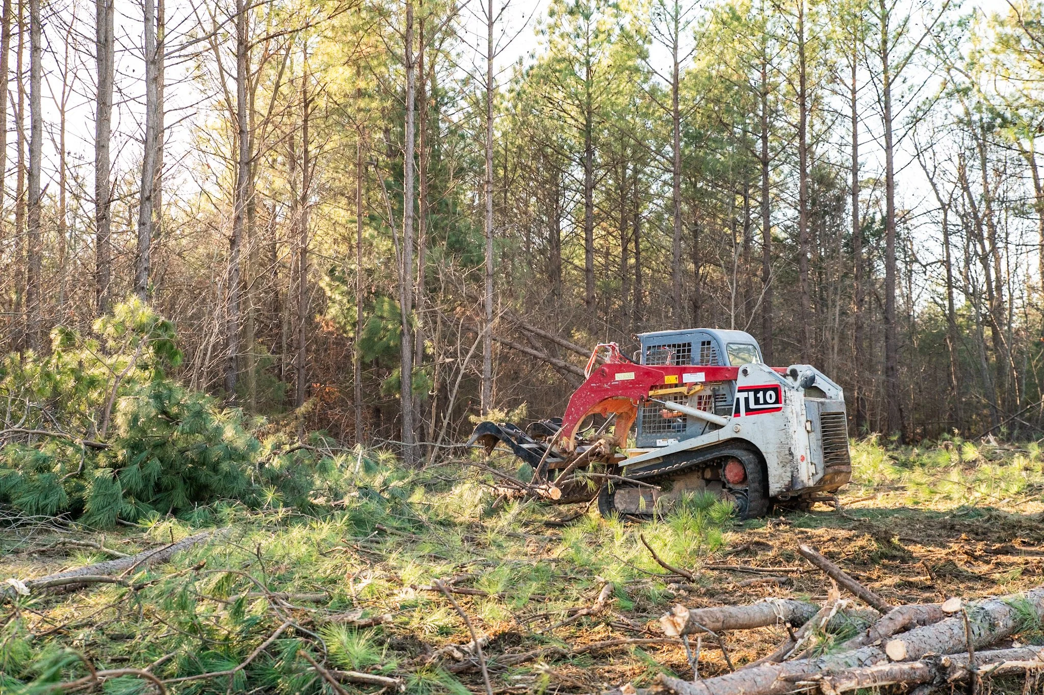 A small tracked forestry mulcher in a forested area with many tree branches and logs on the ground, and tall trees in the background.