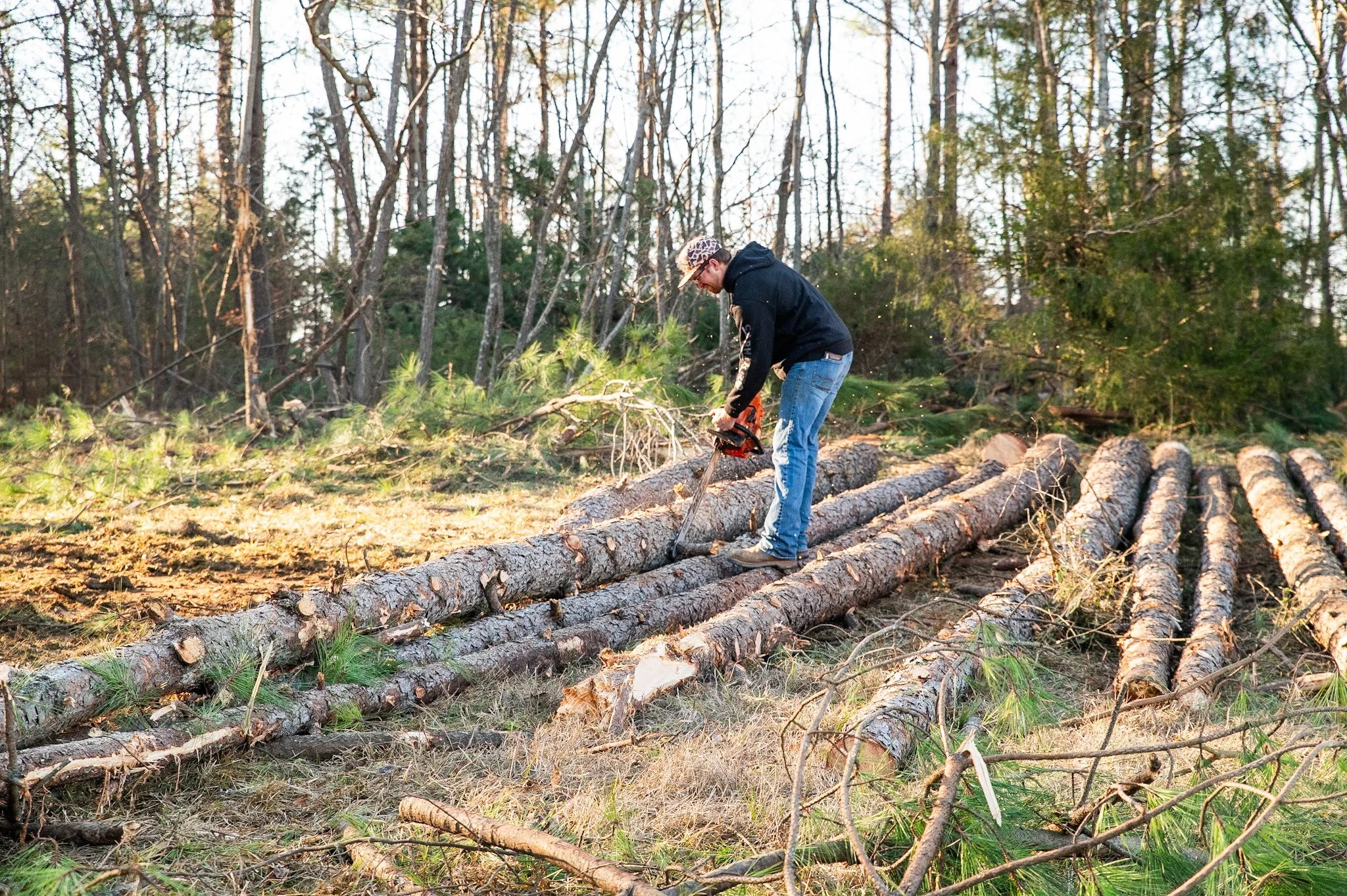 Man cutting fallen logs with a chainsaw in a wooded area.