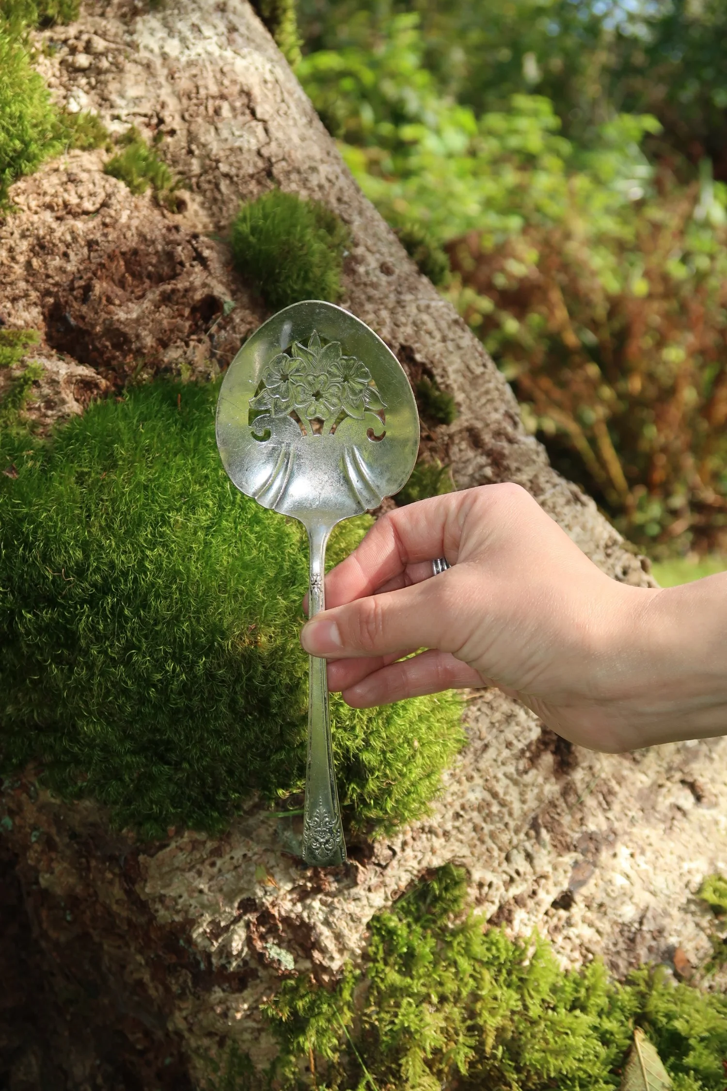 Serving utensil collection (20), photo 3