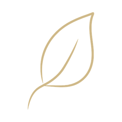 Line drawing of two overlapping leaves with minimal detail.