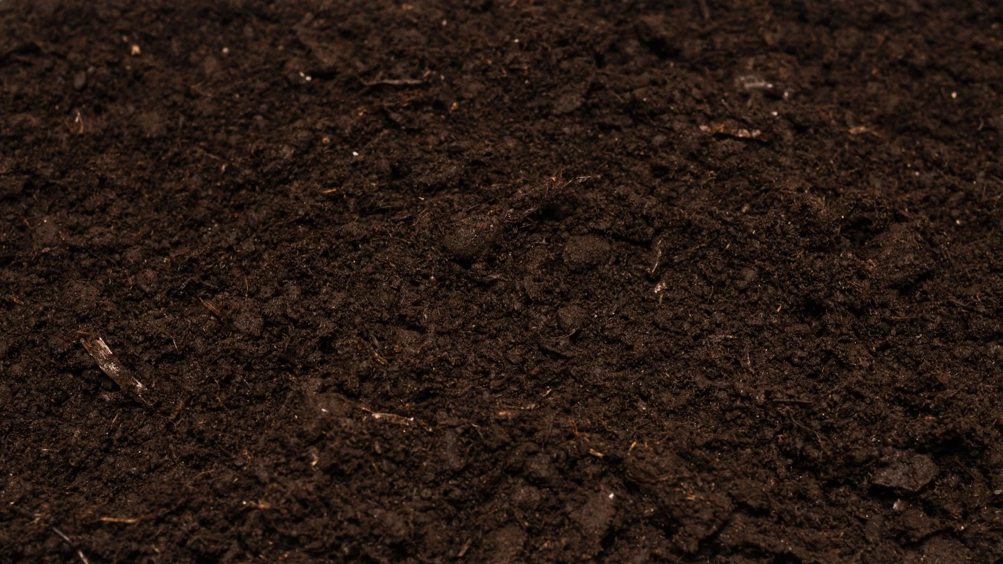 Close-up of dark, rich soil with a slightly uneven surface.