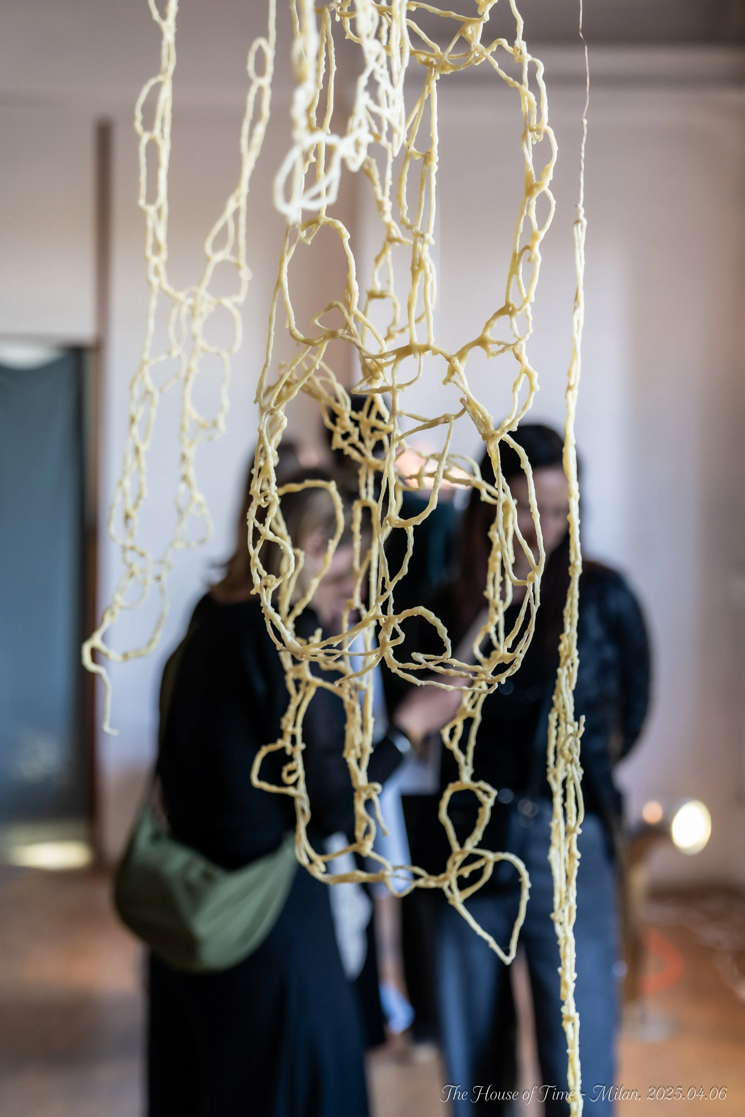 BMG09092 (2025-04-07T00_05_42.225).jpg