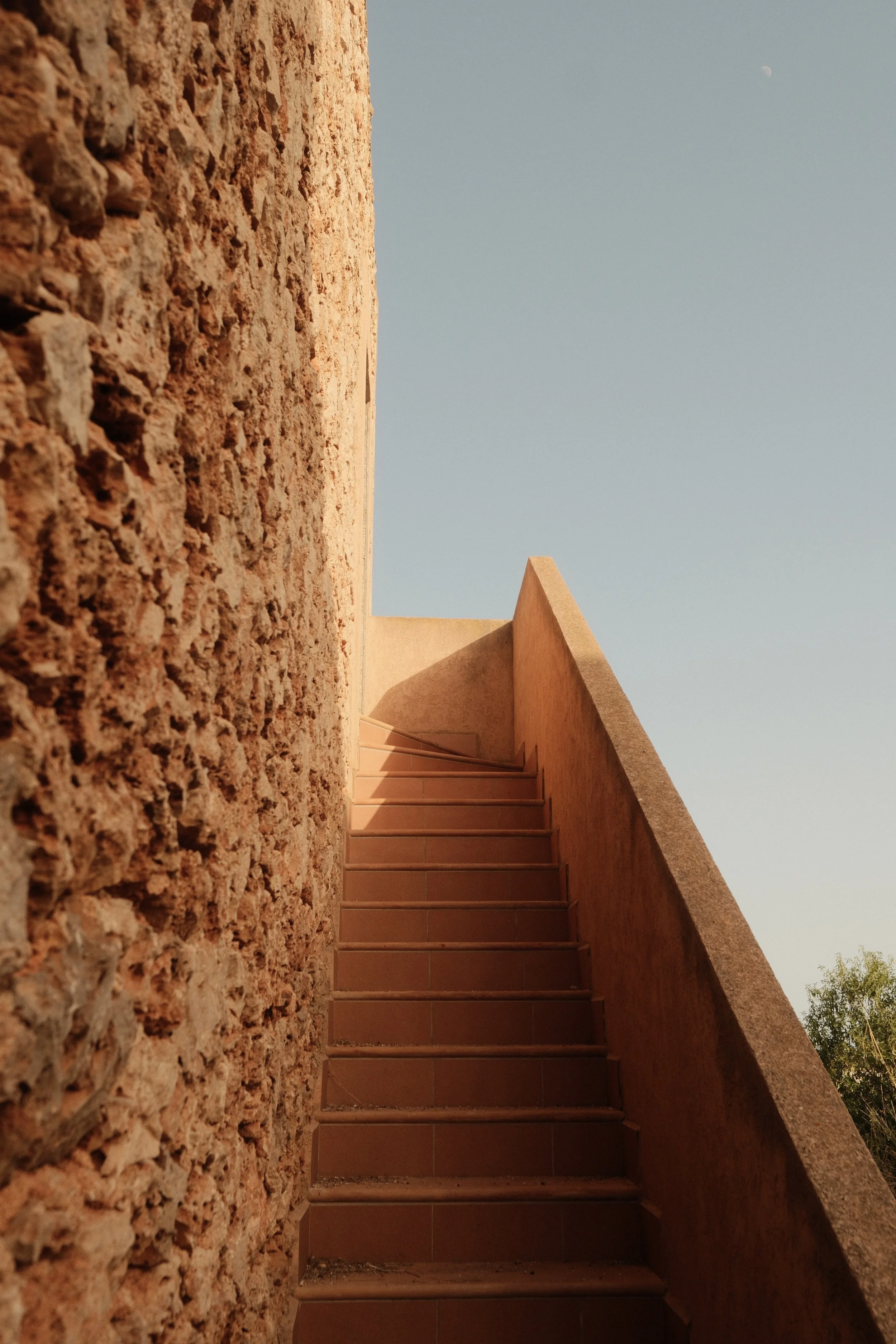 Sunlit Path