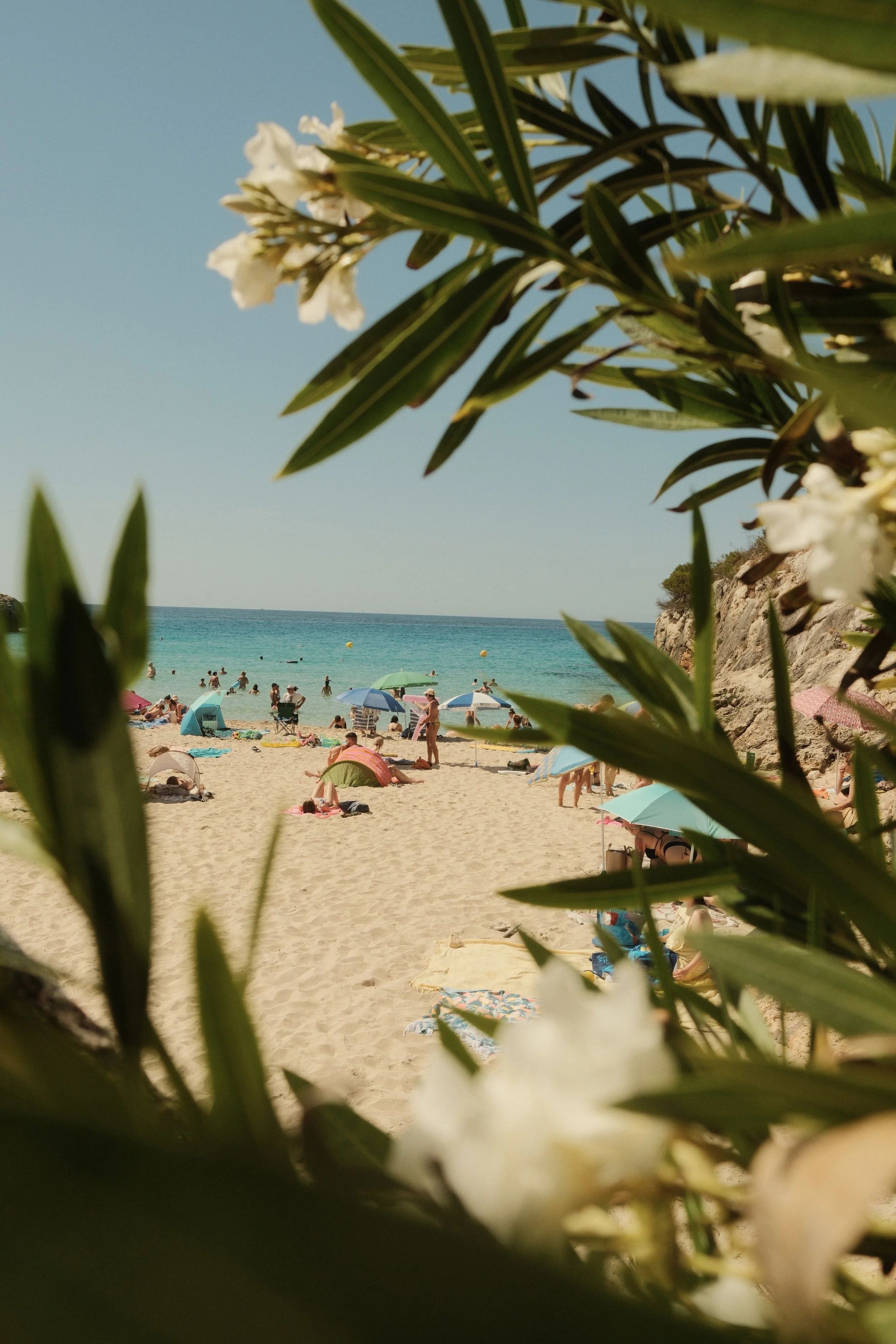 Framed Paradise - Cala Anguila