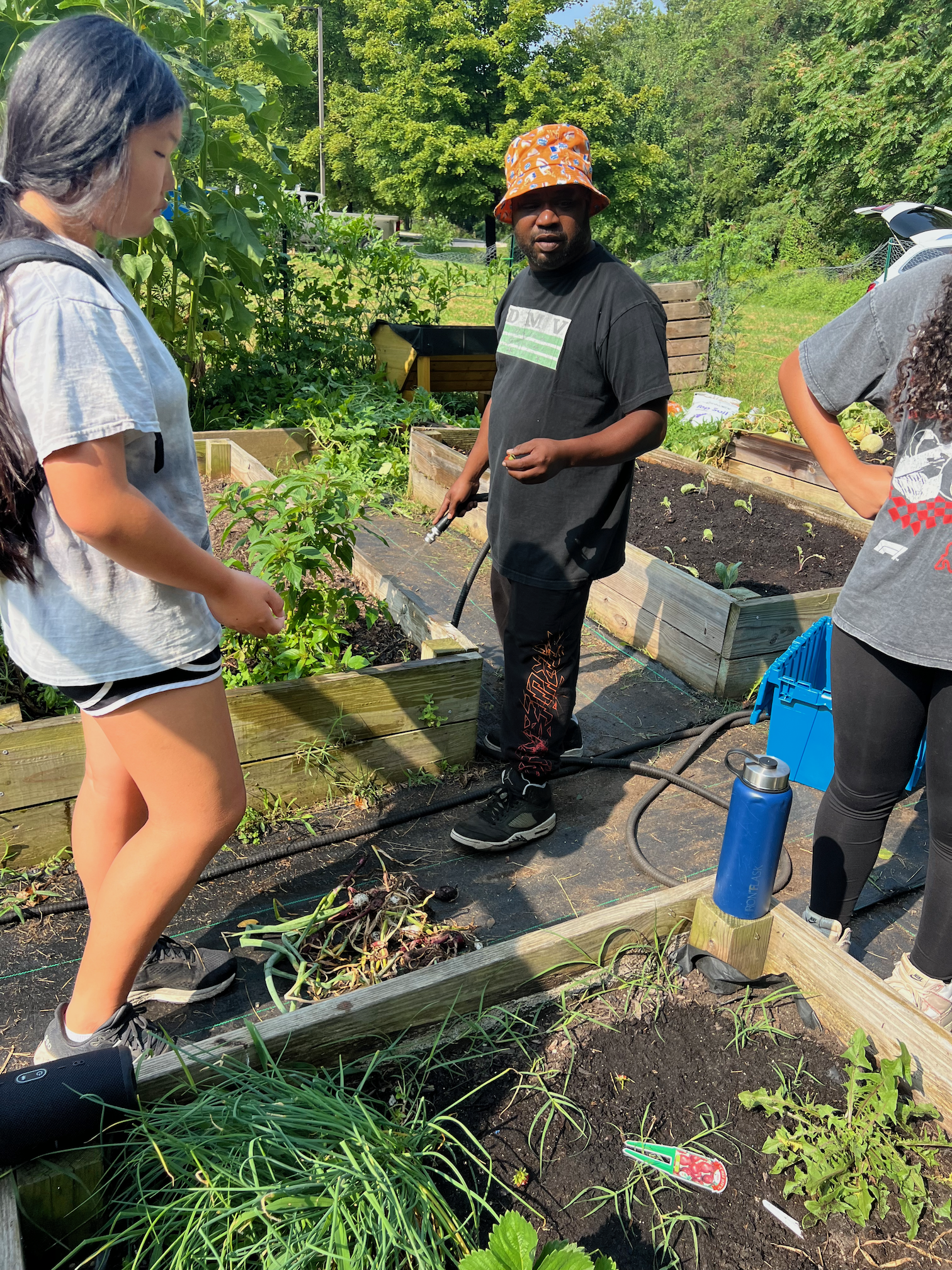 Access Land &amp; Practice