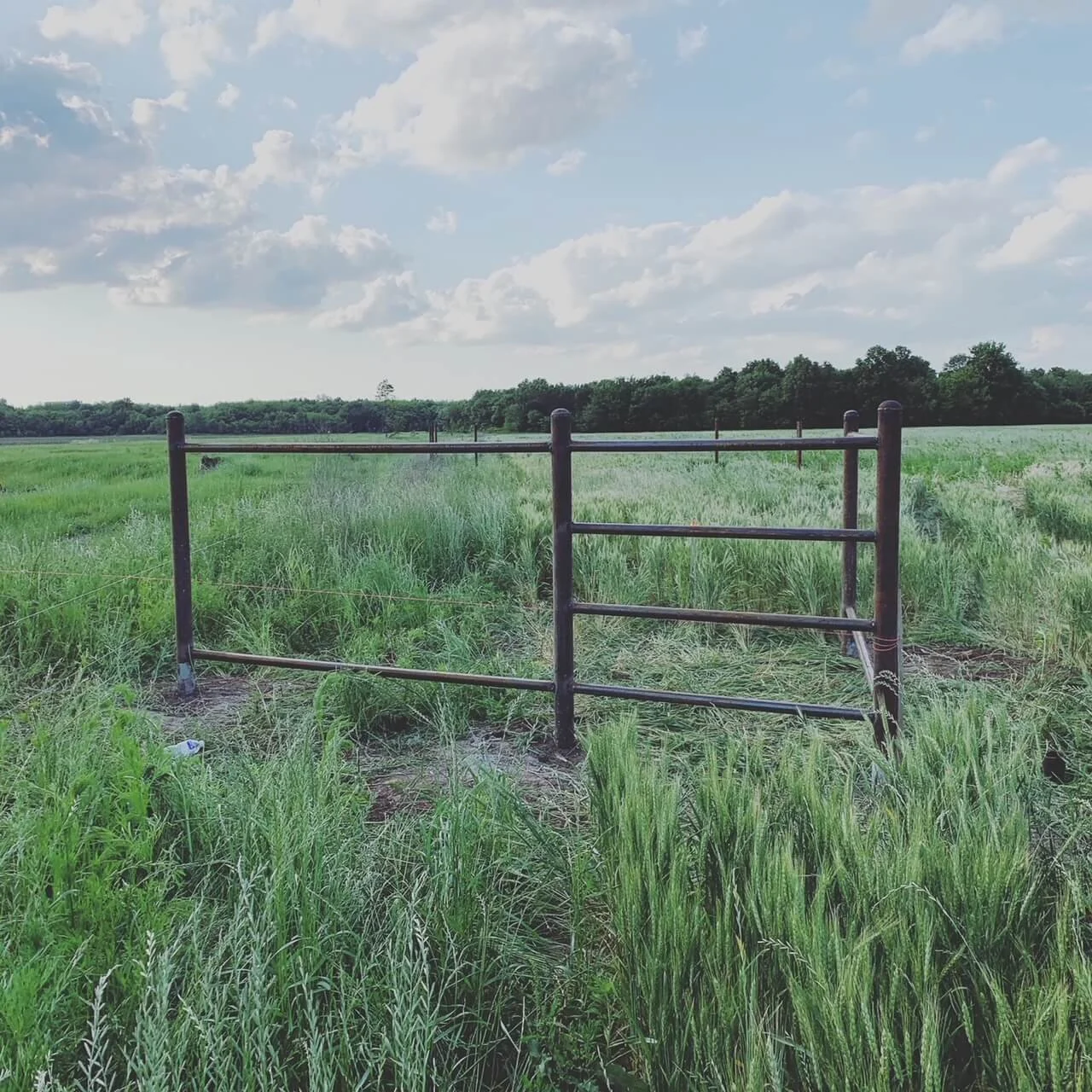 custom welded barbed wire H-Brace