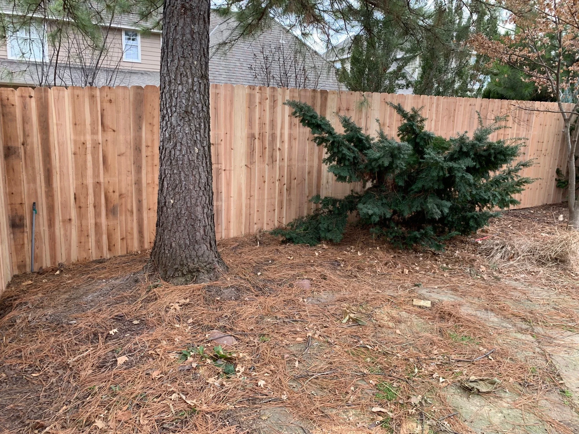 Japanese Cedar Fence Pickets