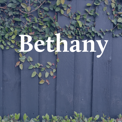 Bethany Fence Company
