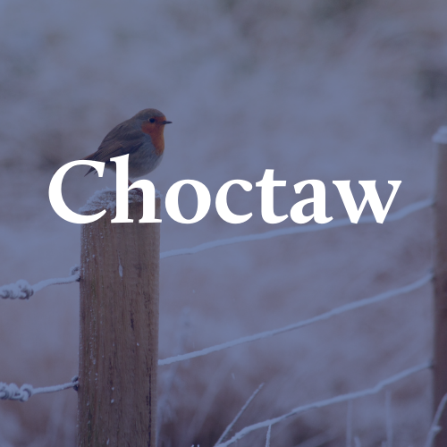 Choctaw Fence Company