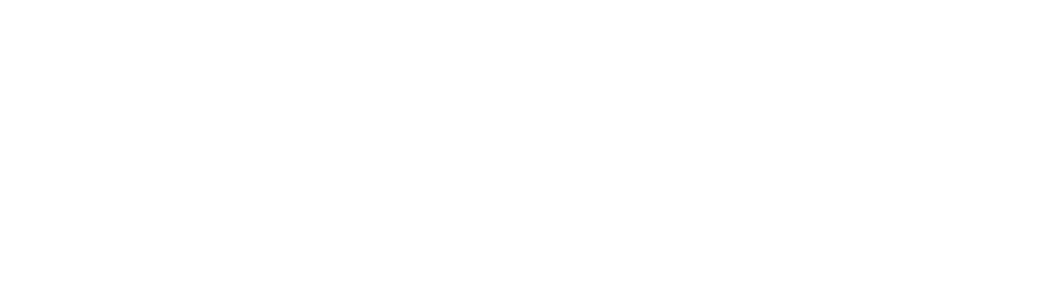 Iron K9 Training