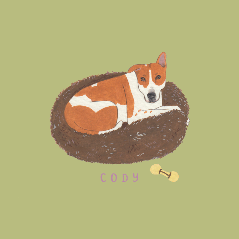Pet Portraits