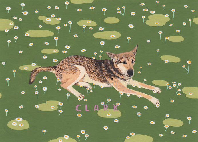 Clark.png