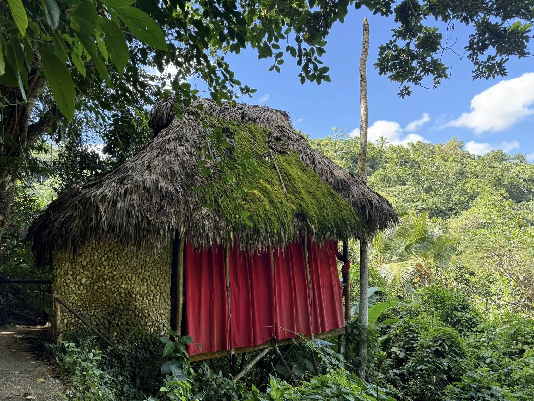 A traditional thatched hut with a red curtain hanging at the entrance, surrounded by lush green tropical trees and plants under a blue sky.