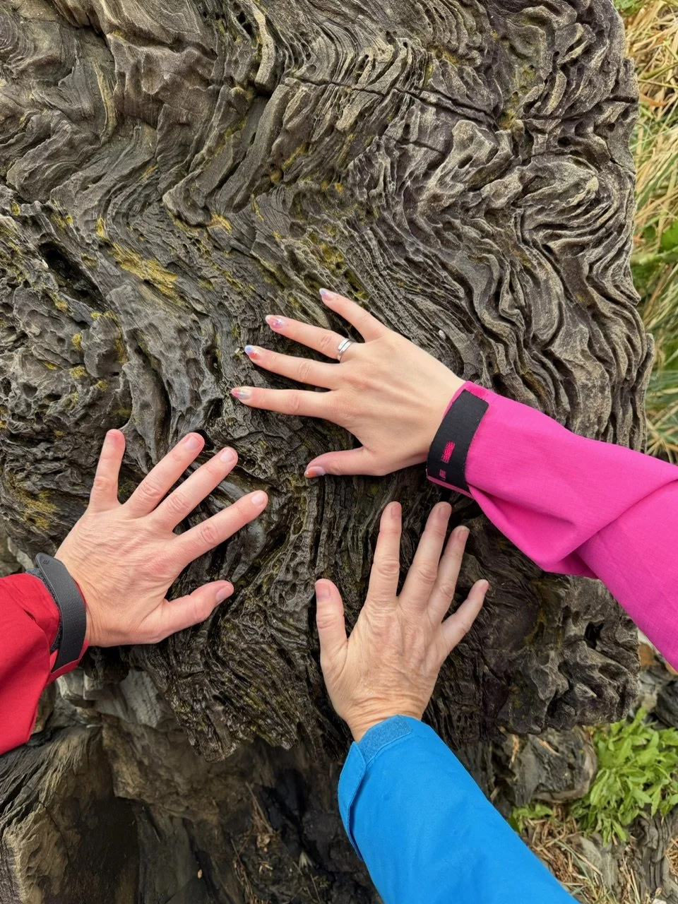 Three hands touching a large, textured, weathered rock with layered patterns, outdoors surrounded by grass and plants.