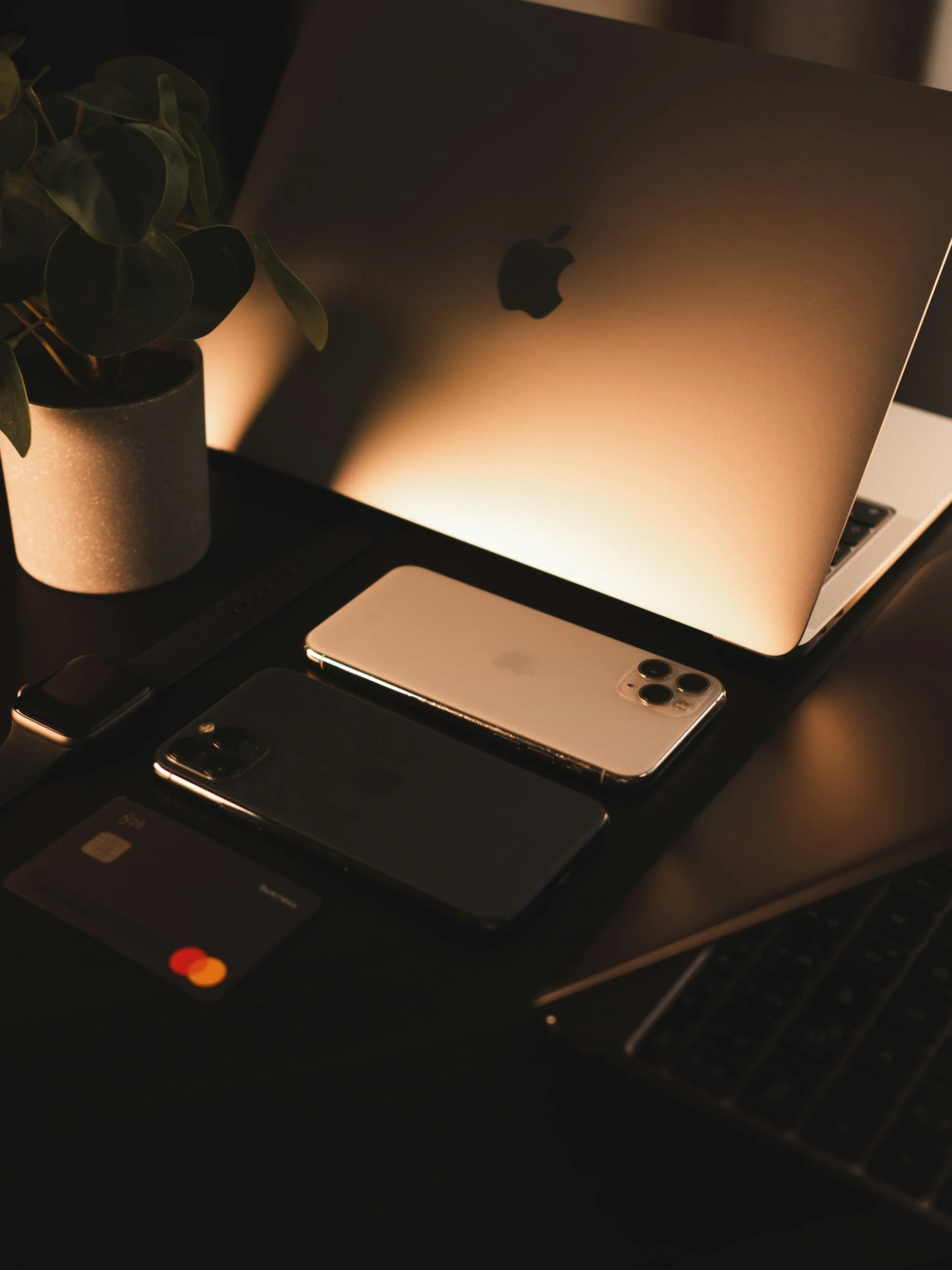 Business owners that need bookkeeping