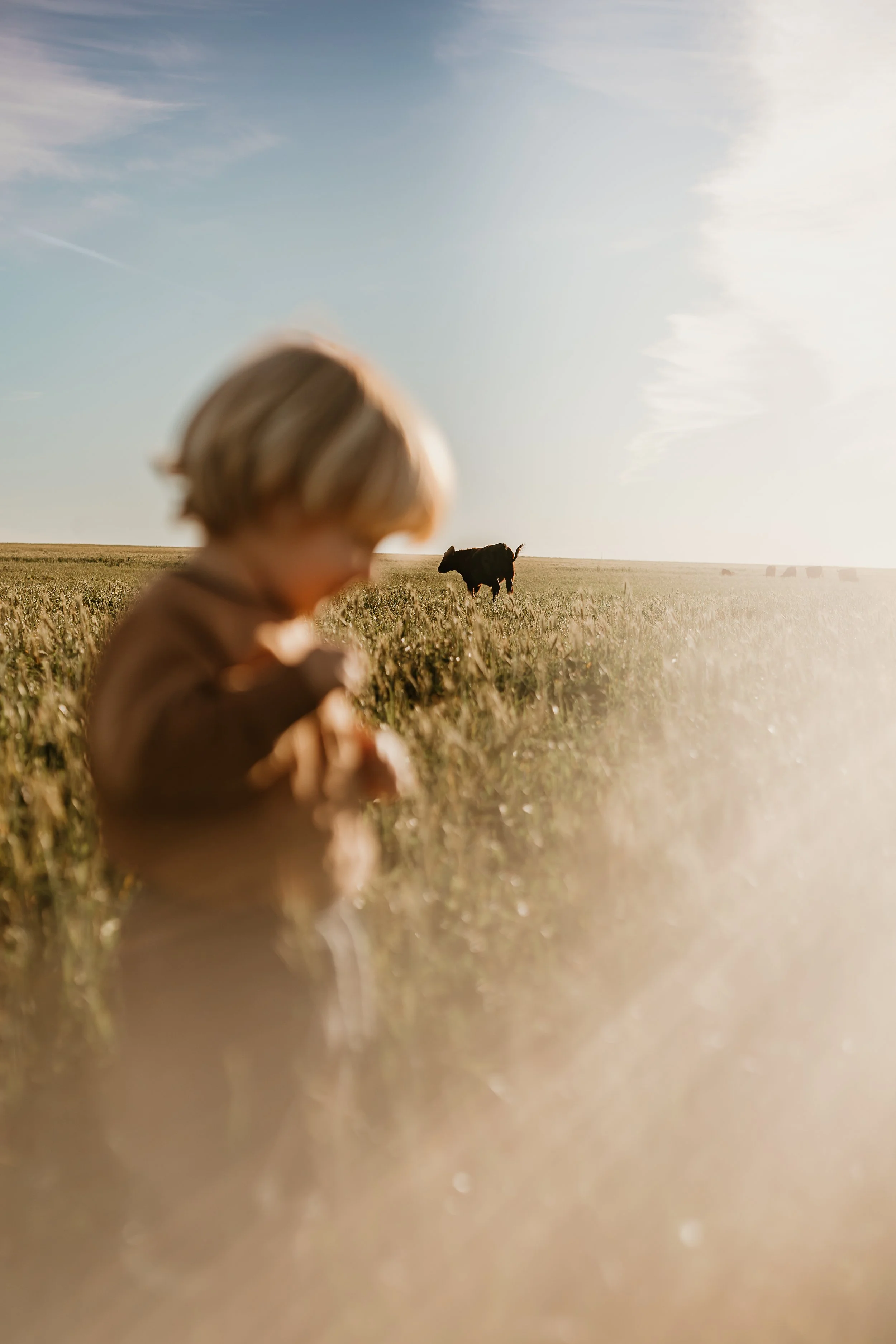 Child photography rural cropping golden hour photoshoot Eyre Peninsula South Australia Minnipa Down to Earth photography by Roanne Scholz