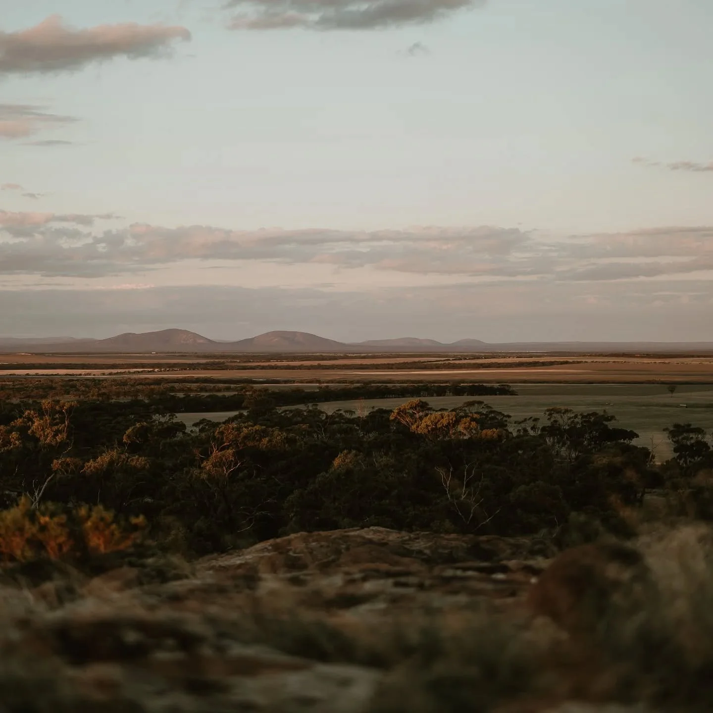 It's been 7 days of variety behind the camera here:

✨️A Rural Wedding
✨️Sweet Newborn Moments
✨️Outdoor Maternity Session
✨️Multi-Generational Farm Pics

My creative heart is fulfilled as these families galleries filter out 🥹

If you'd like your ph