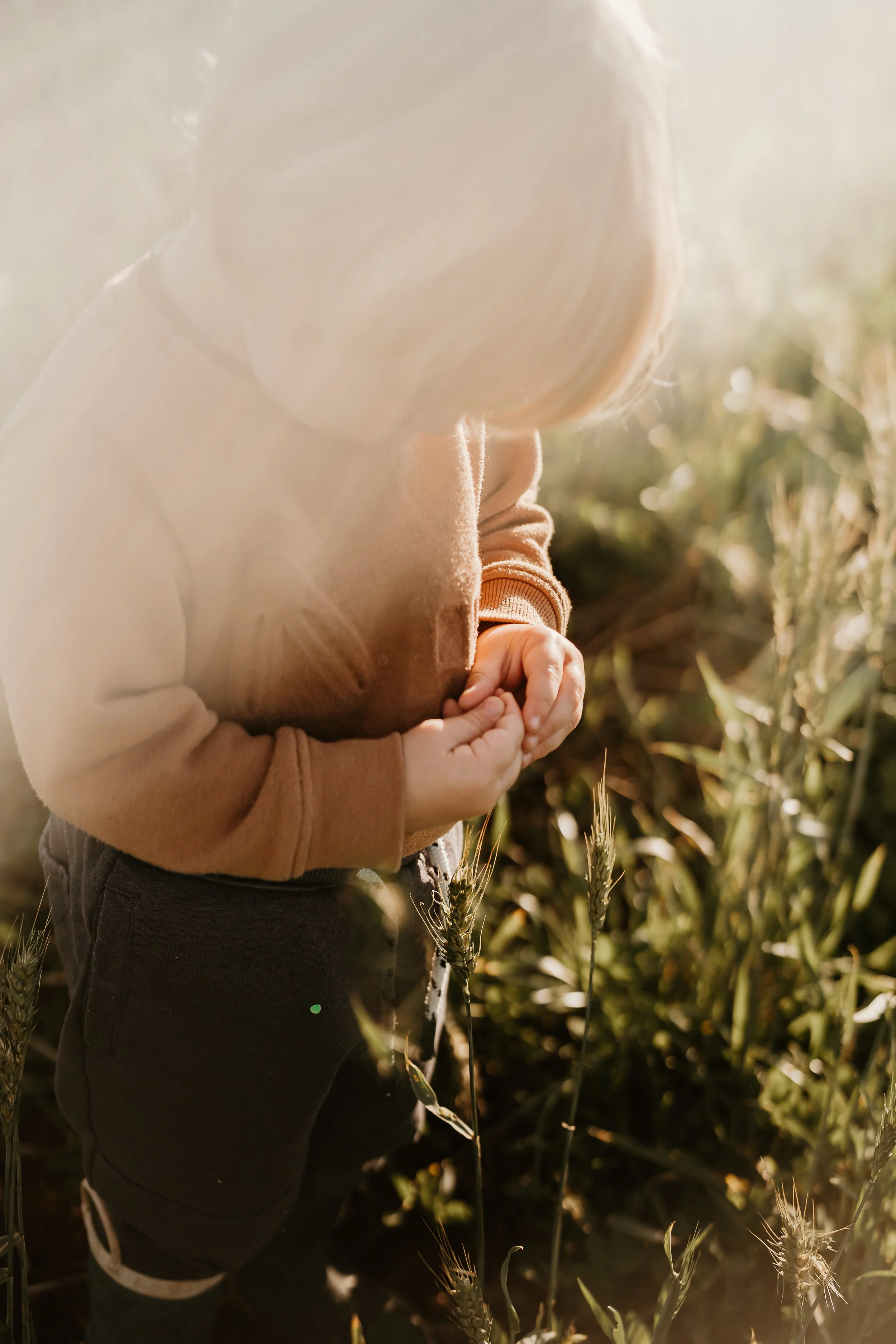 Child photography rural cropping golden hour photoshoot Eyre Peninsula South Australia Minnipa Down to Earth photography by Roanne Scholz