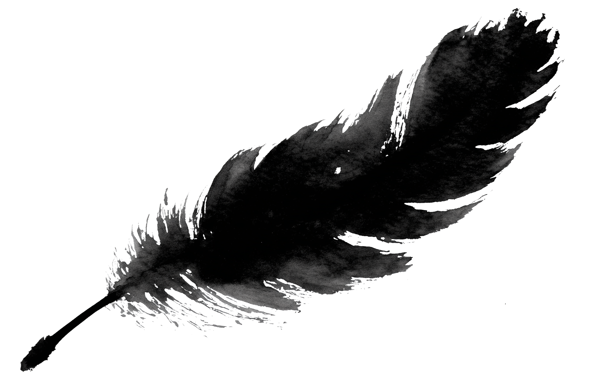 Black and white illustration of a bird in flight, wings spread wide, depicted in a stylized, artistic manner.