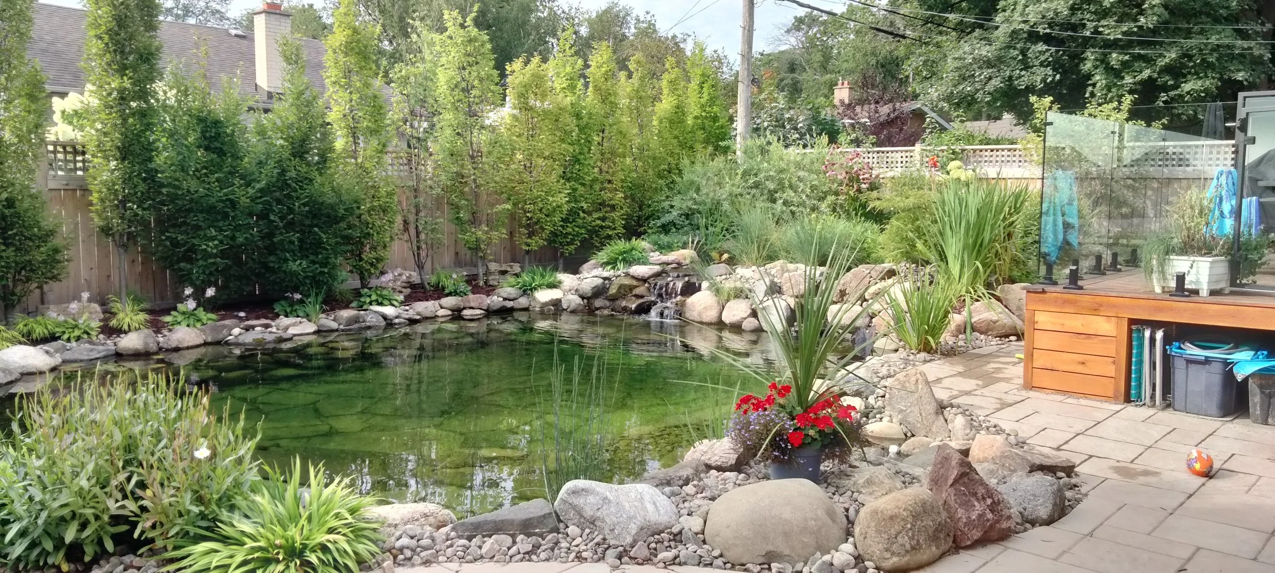Backyard garden with small pond, surrounded by rocks, lush greenery, and trees, with a wooden deck on the right side, several potted plants, and a glass fence.