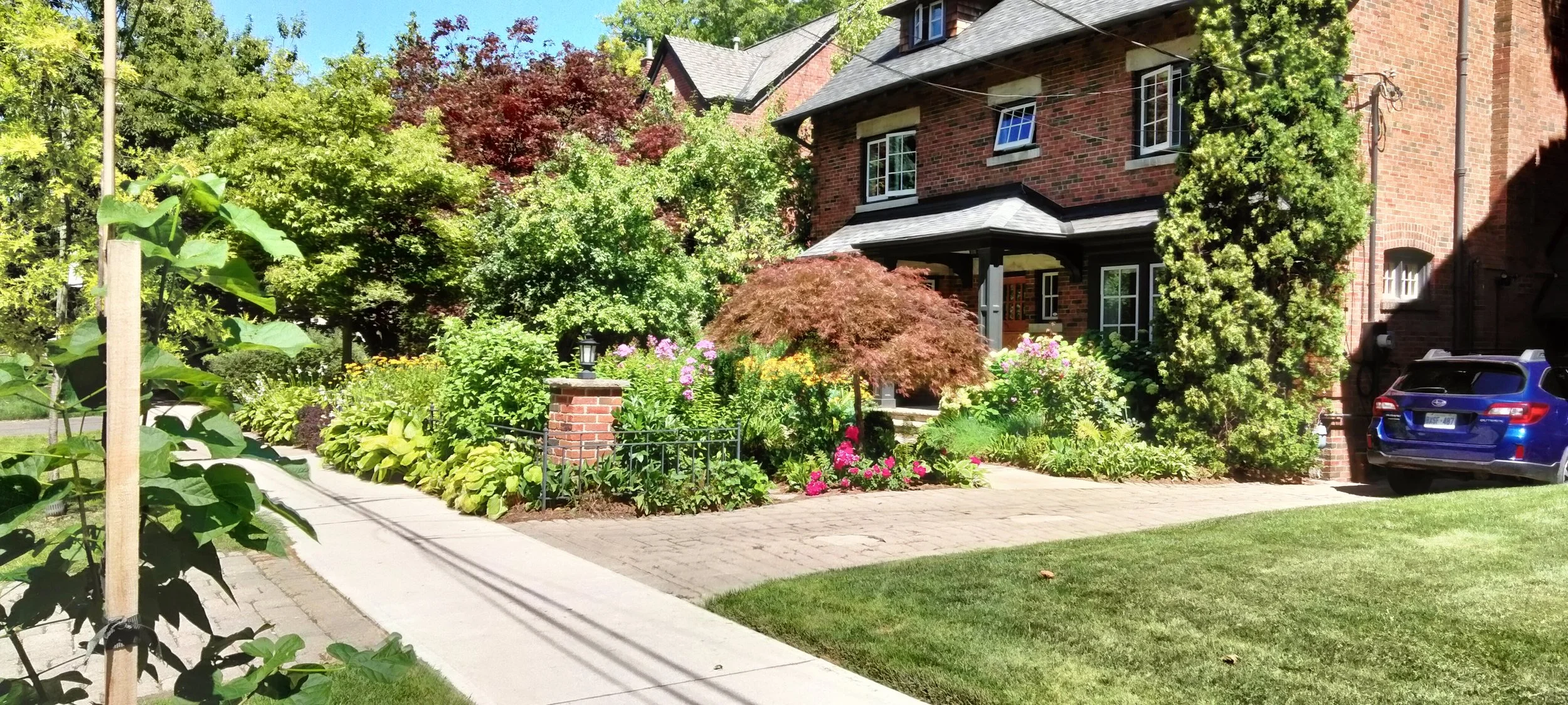 A lush front yard garden in front of a brick house with flowering plants, trees, and shrubs, along with a blue SUV parked on a driveway and a sidewalk leading to the house entrance.