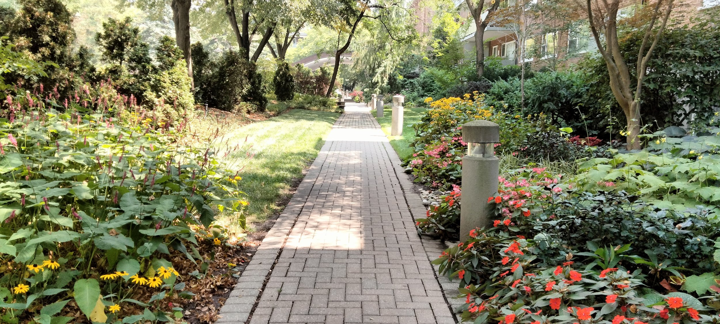 A brick sidewalk lined with various flowering plants and shrubs, with trees overhead and apartment buildings in the background.