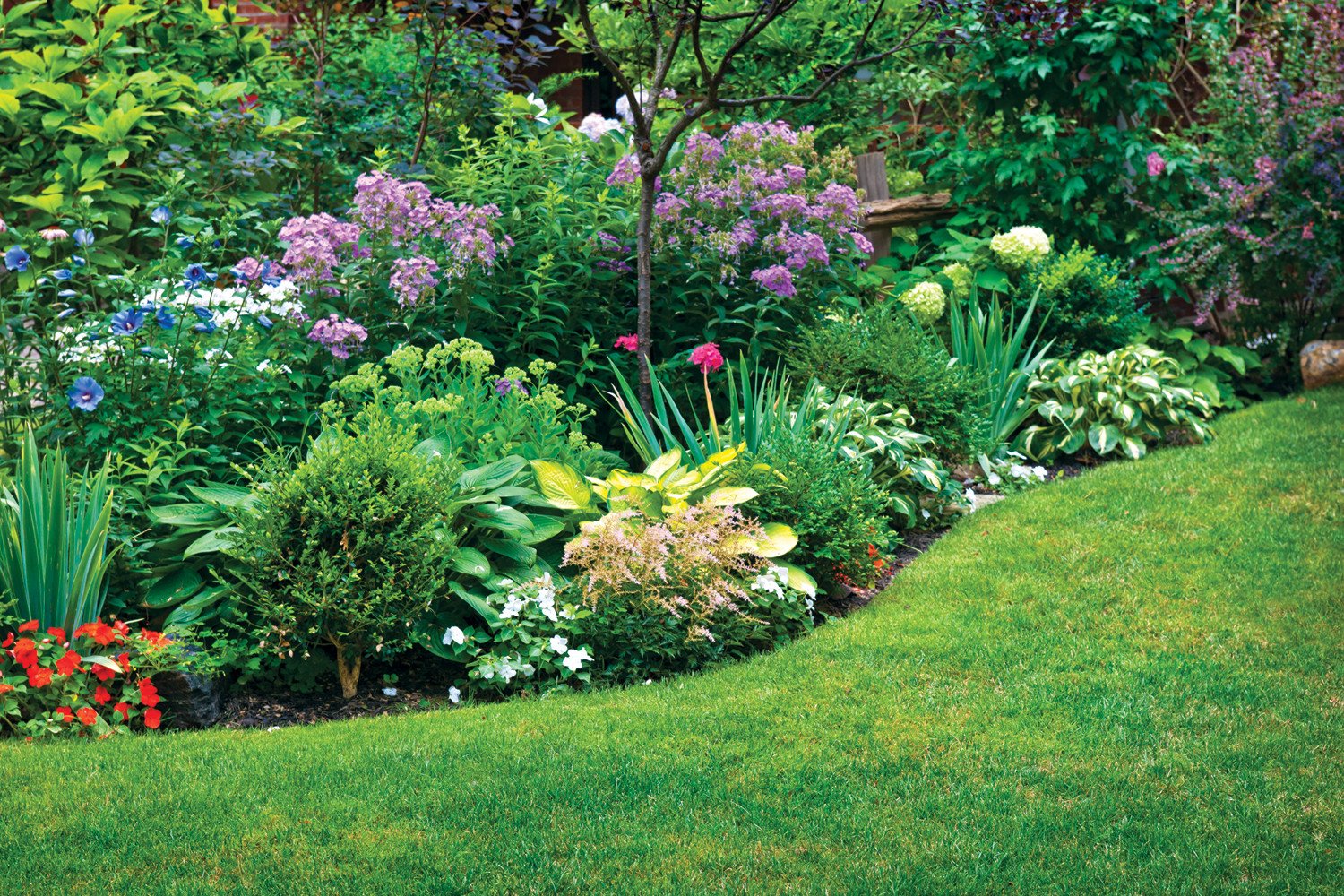 Beautifully Designed Garden with Hostas, Beebalms, Tulips, Alliums, and other native plants and perennials
