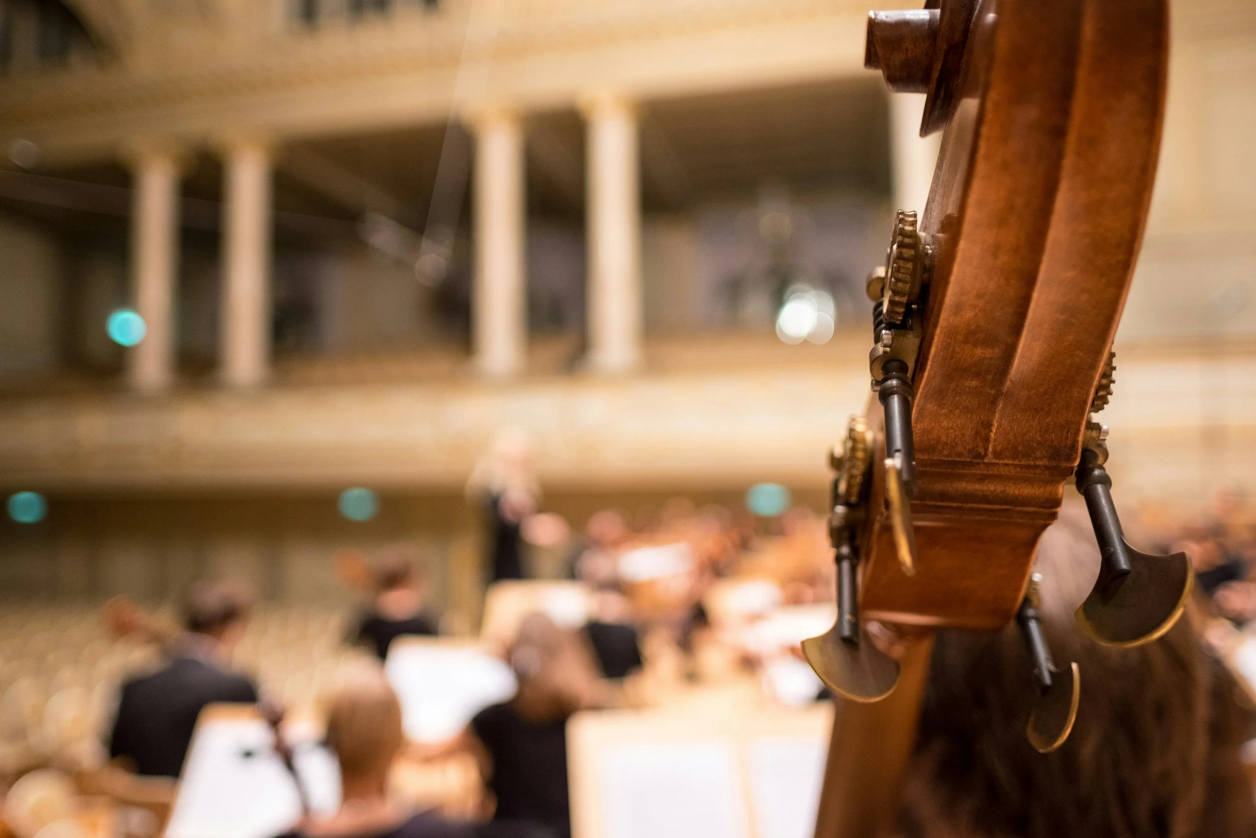 Close-up of the headstock of a wooden double bass with tuning pegs, with an orchestral rehearsal in the background, out of focus.
