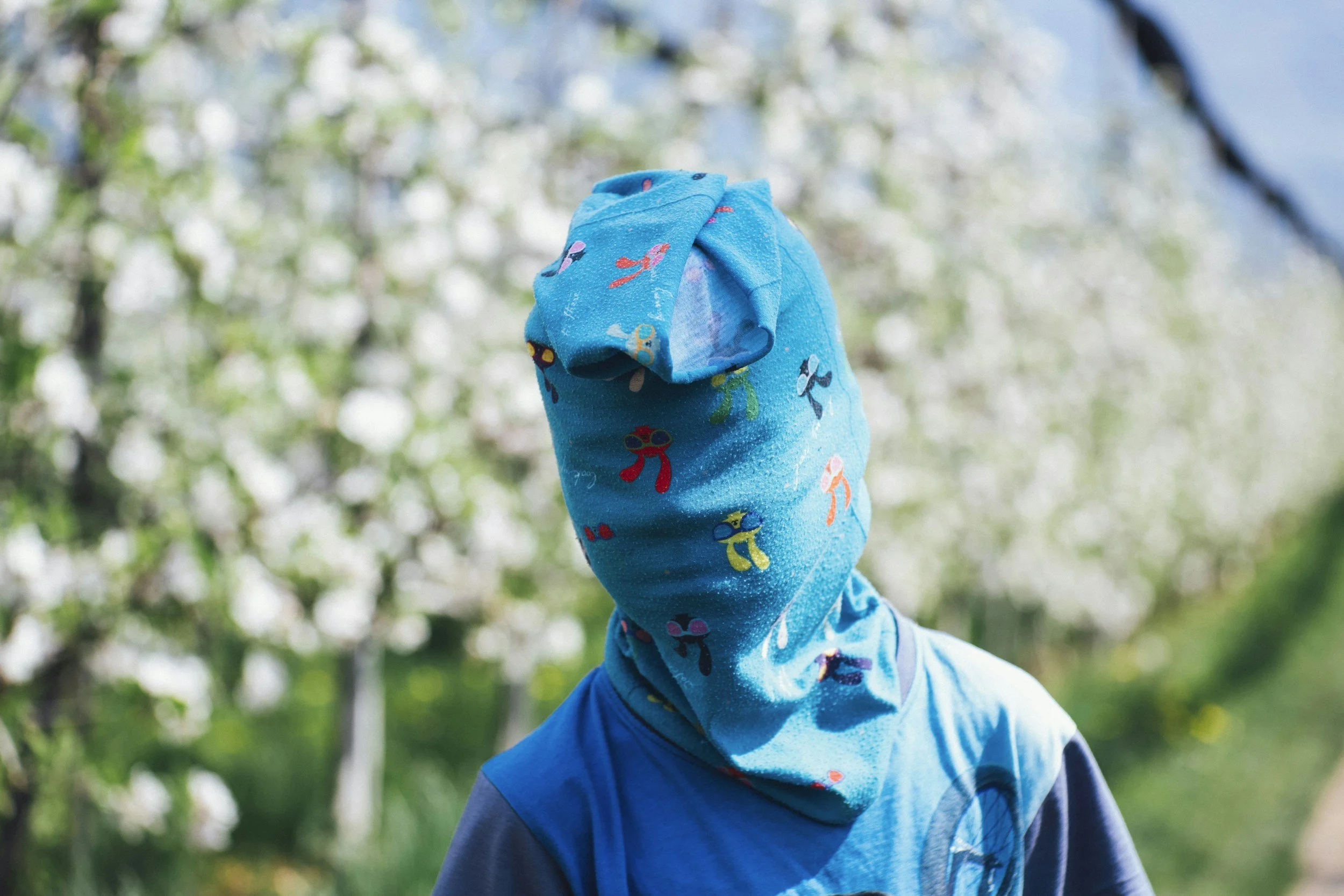 Person with face covered by a blue cloth with colorful bowtie patterns, outdoors surrounded by blooming trees.
