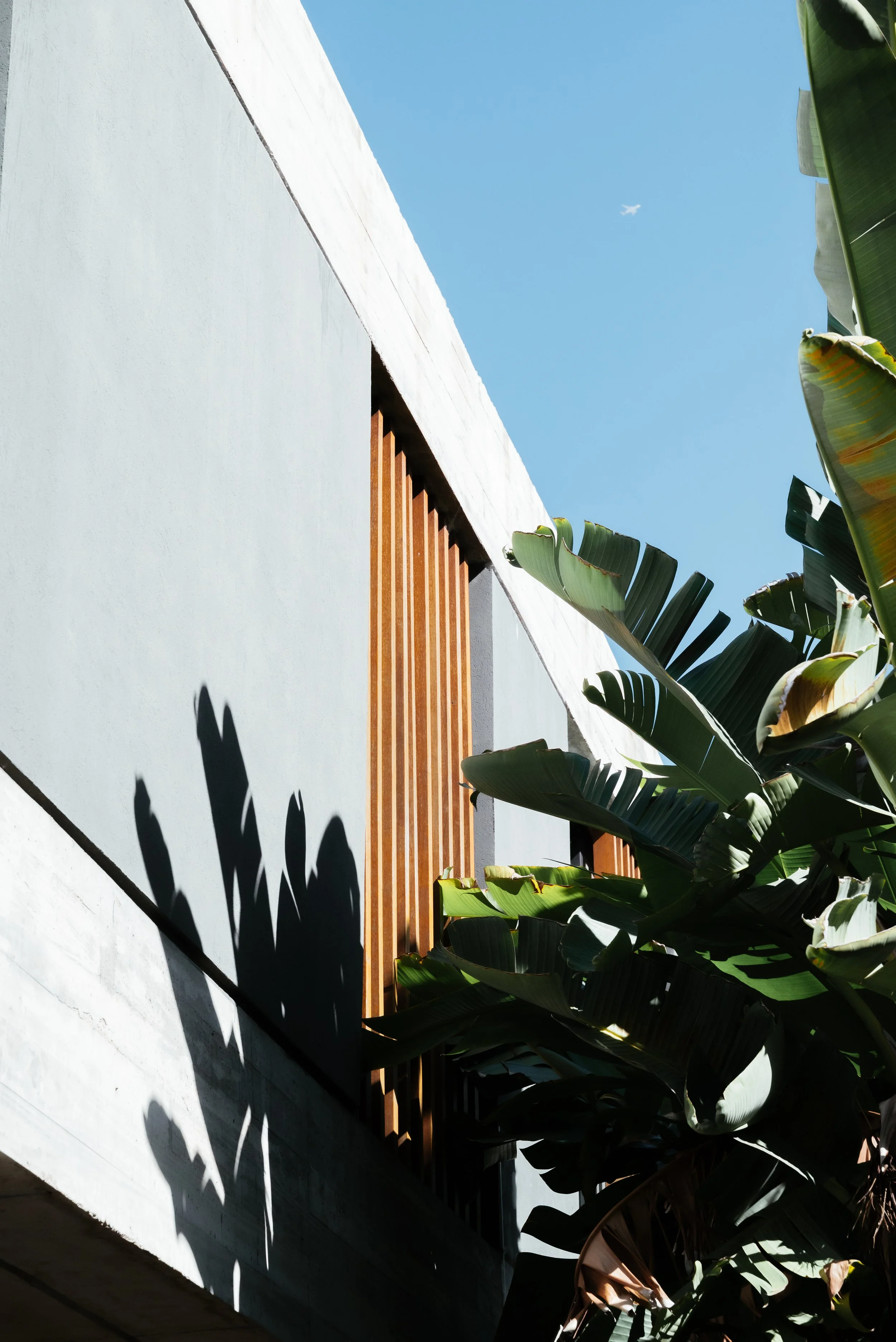 CASA ELI-5.jpg