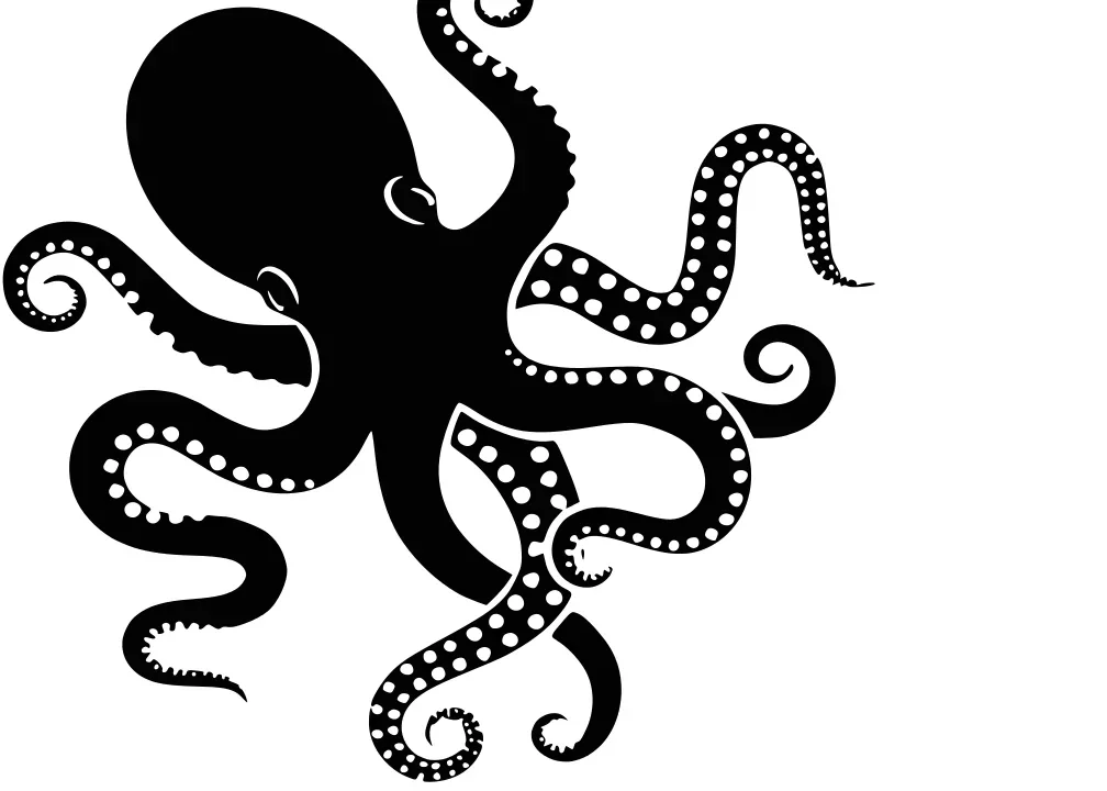Octopus.webp