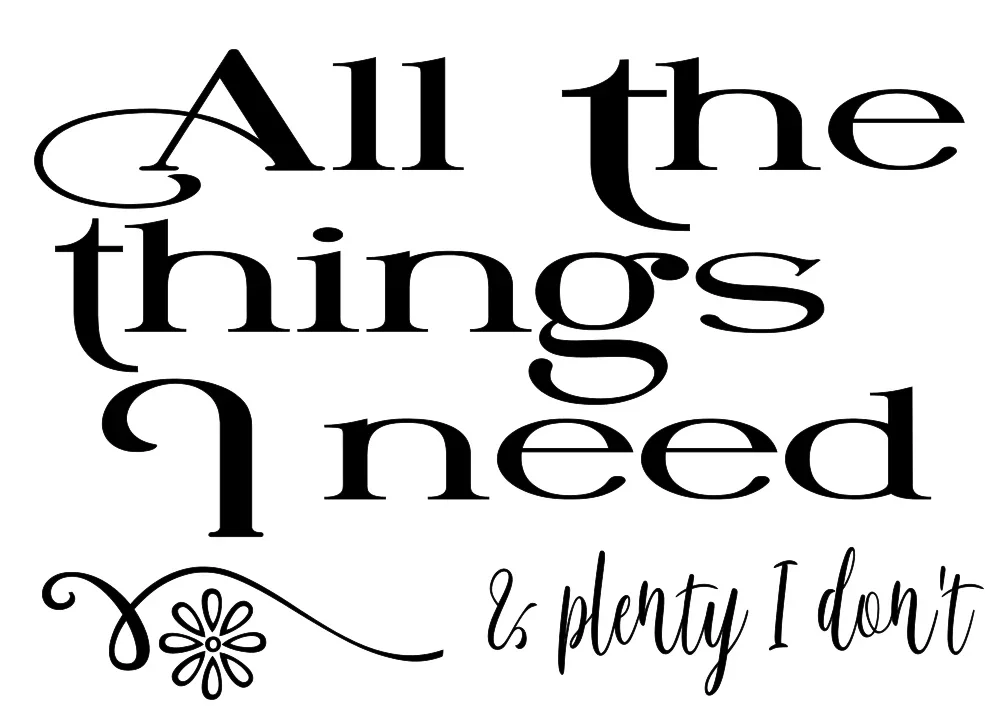 All_the Things I Need & Plenty I Don't.webp