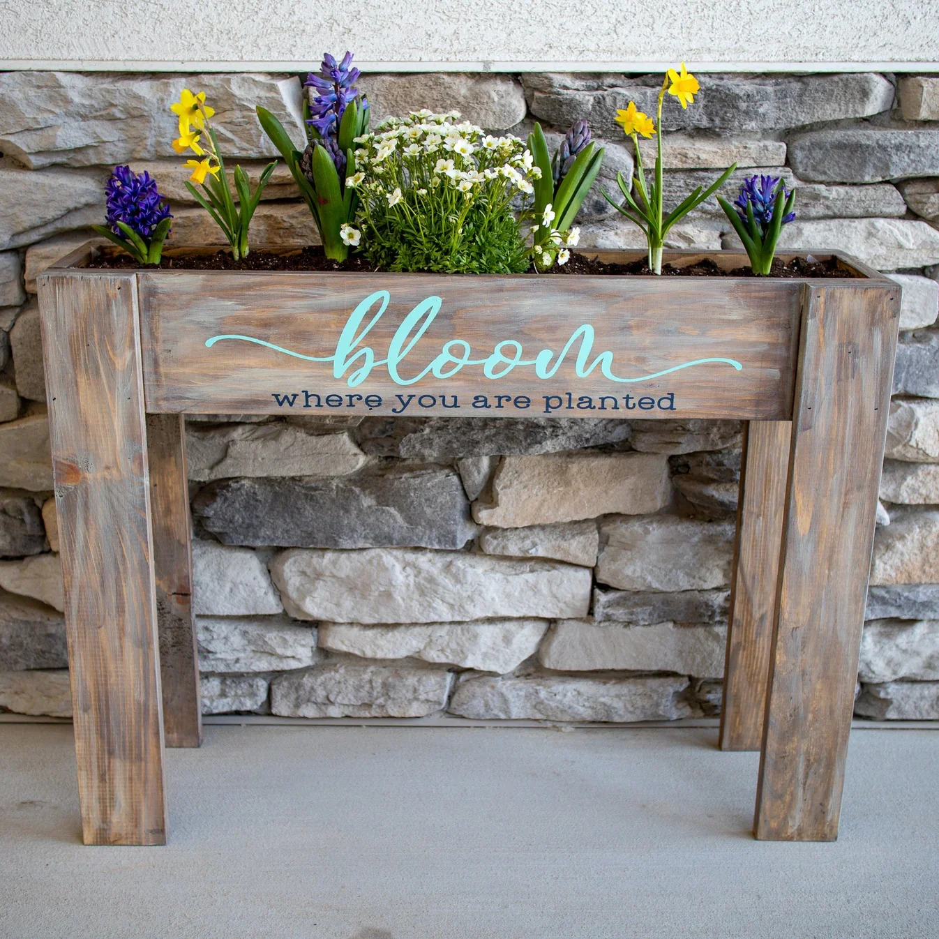 Stand Up Planter - Kayleigh Millet.webp