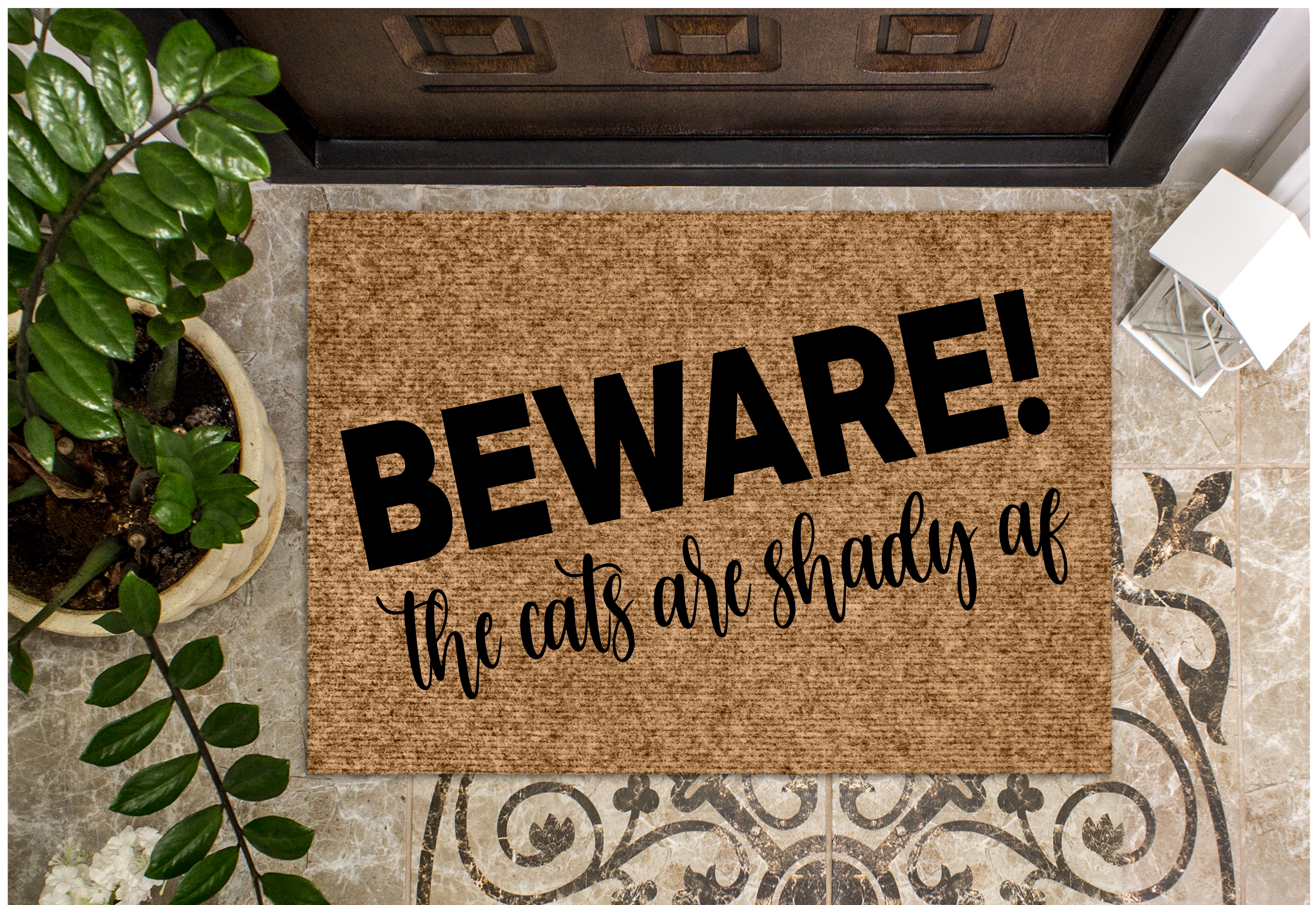 Beware Cats Shady Af.png