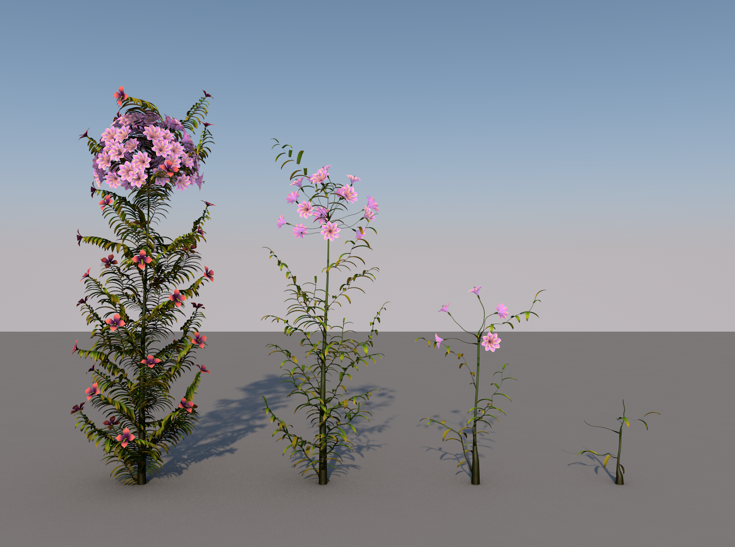 flowering_plant_stages-image-2.png