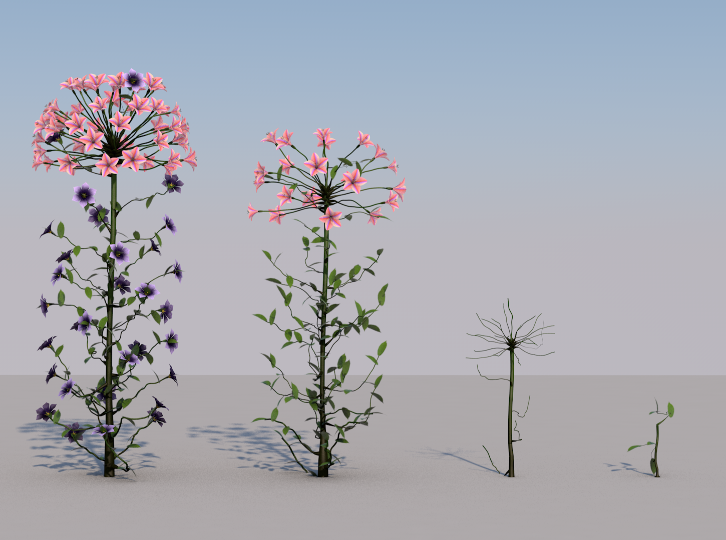 flowering_plant_stages-image.png