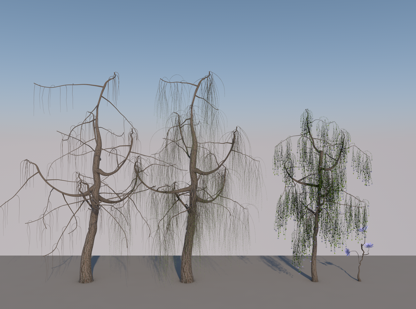 Wasteland Plant Growth