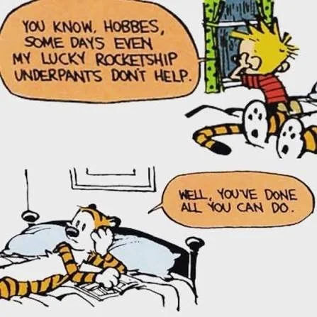 Calvin lying in bed talking to his tiger plush toy. Calvin says, "You know, Hobbes, some days even my lucky rocketship underpants don't help." Hobbes responds, "Well, you've done all you can do."