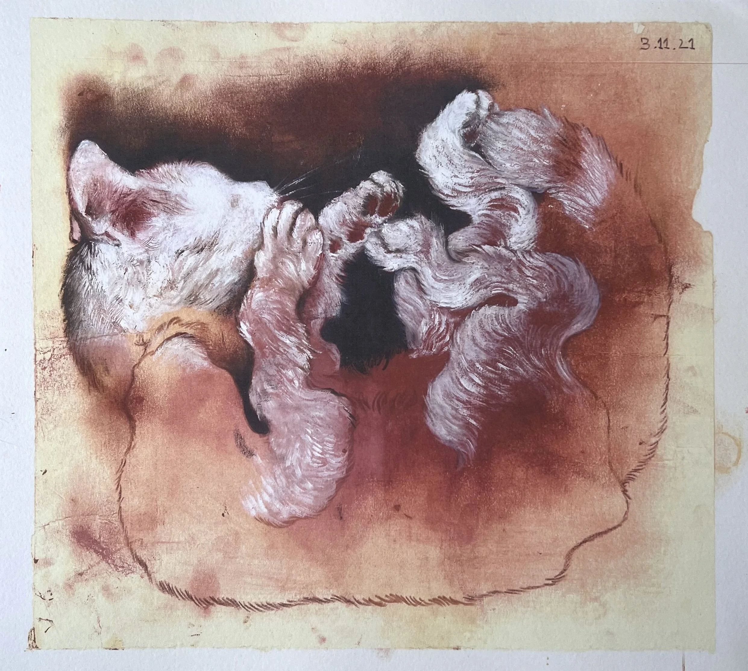 'Bayech, the Warrior'