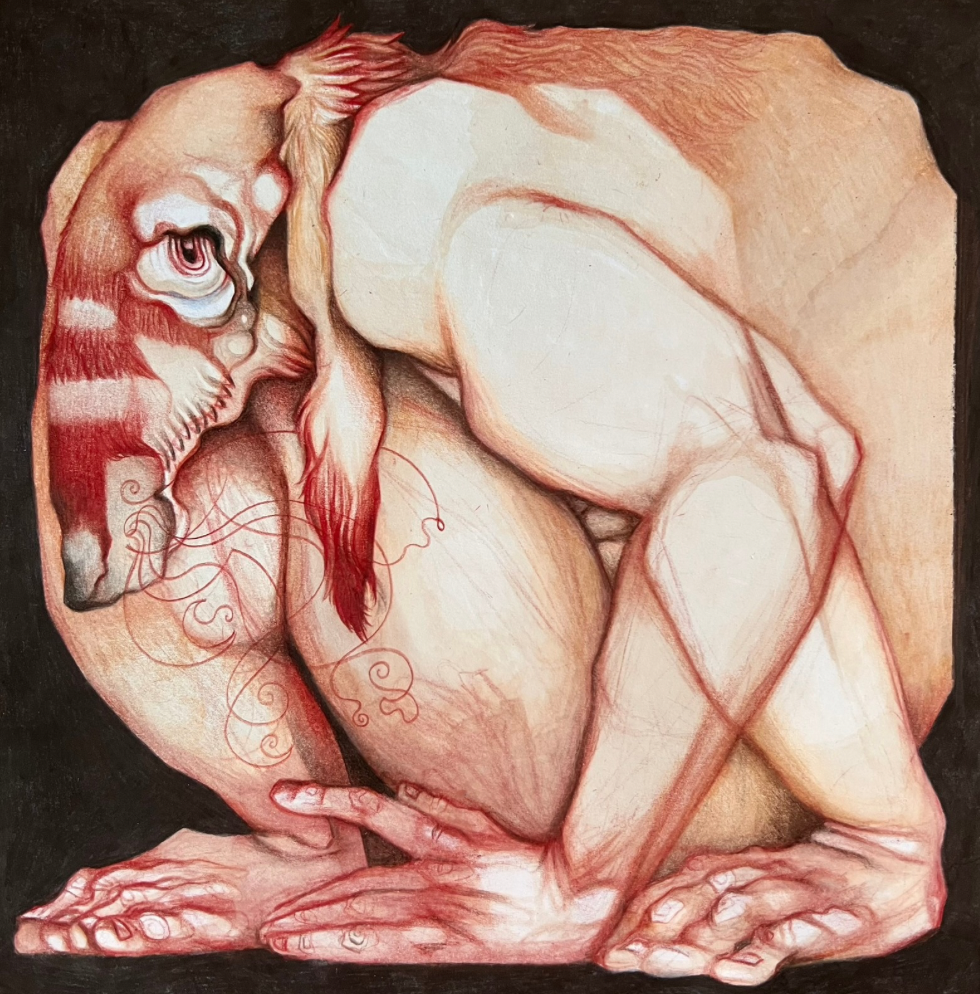 The Surfer (Graphic Novel cover)