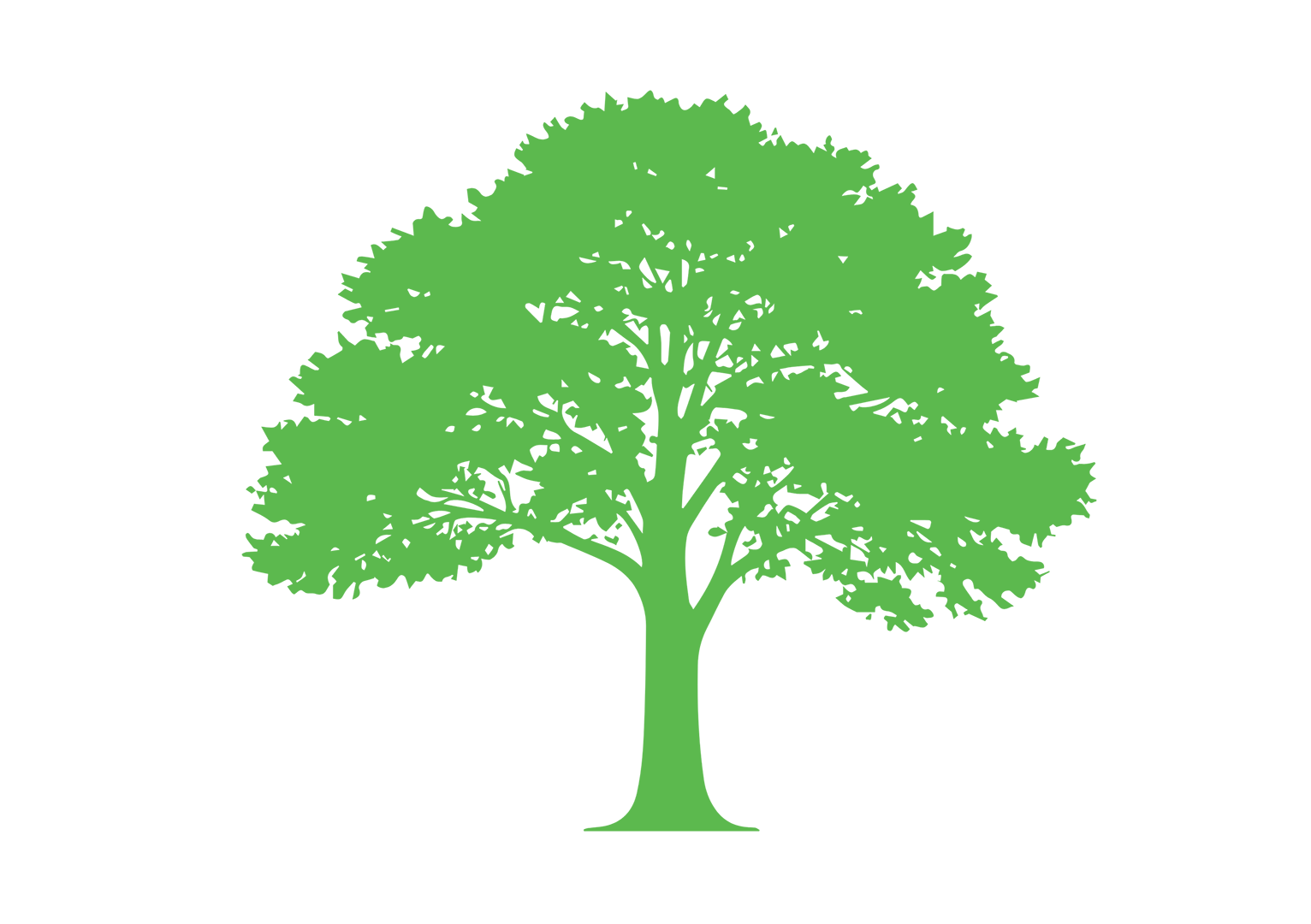 Green leafy tree silhouette on black background.