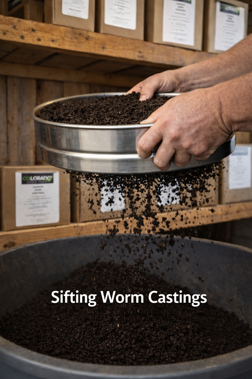 Sifting worm castings.