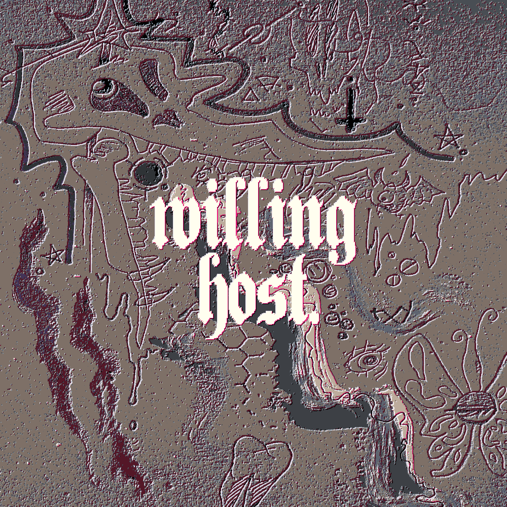 willinghost. - INSTRUMENTAL DEMO - JEWEL CASE CD