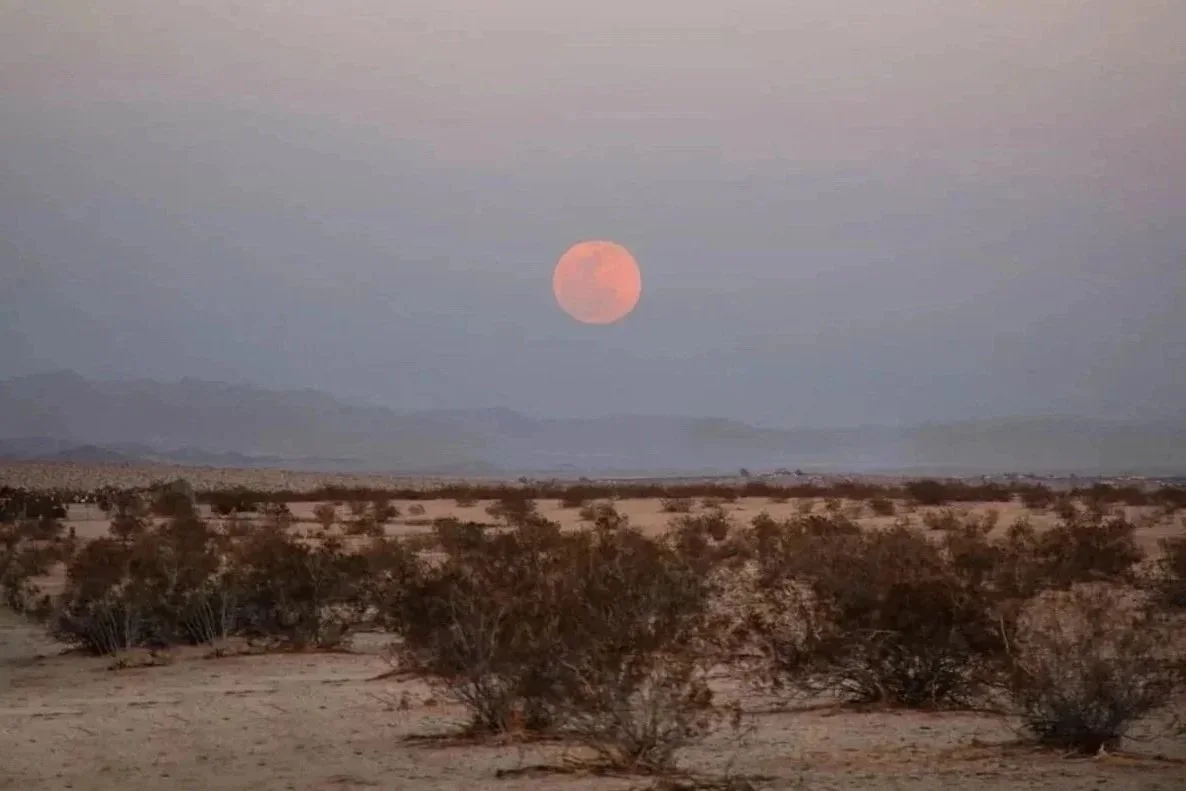 A desert landscape with scattered bushes, mountains in the distance, and a pinkish moon in the sky.