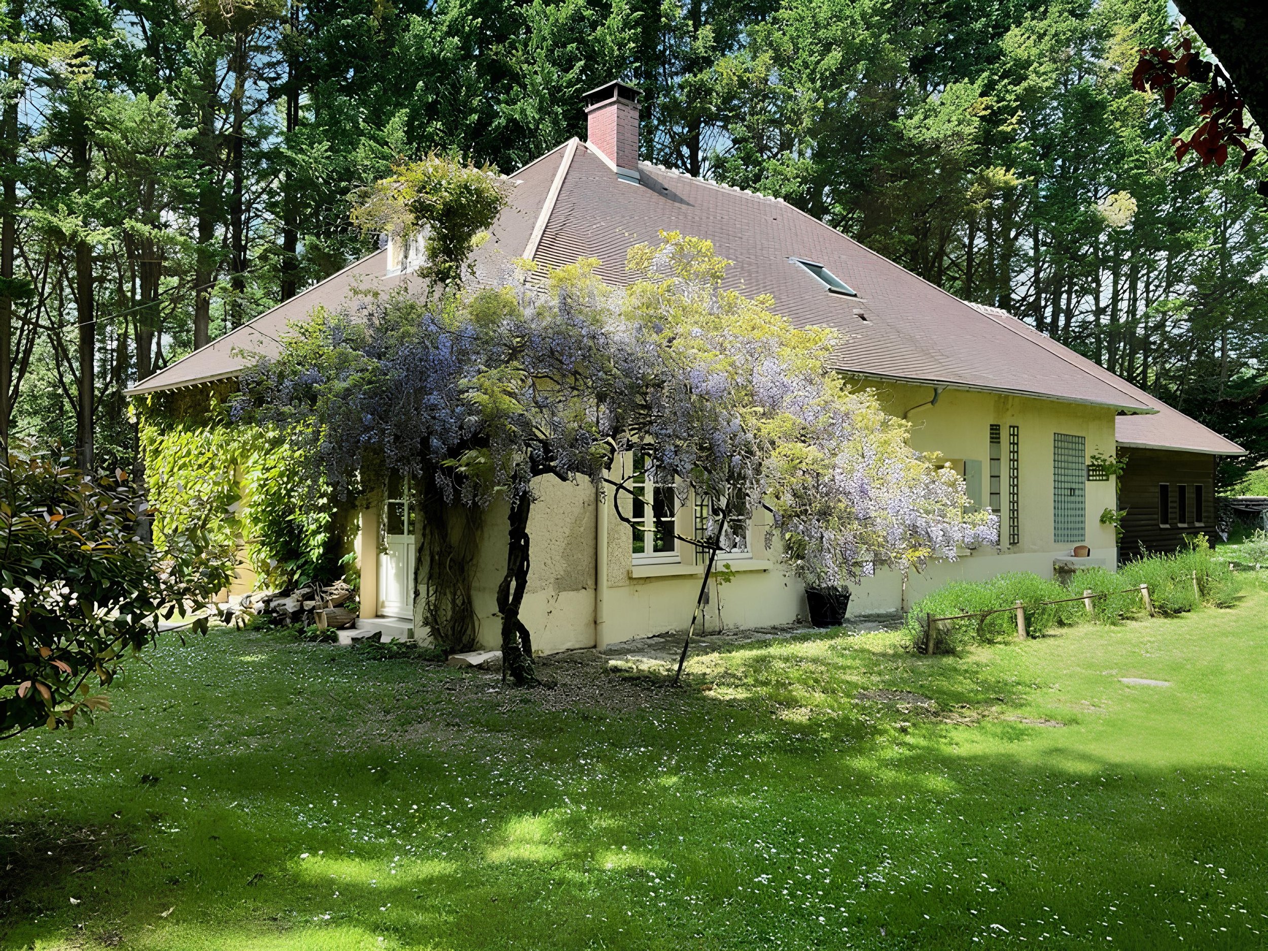 Une maison entourée d'arbres et de verdure, avec un arbre en fleurs devant la maison.