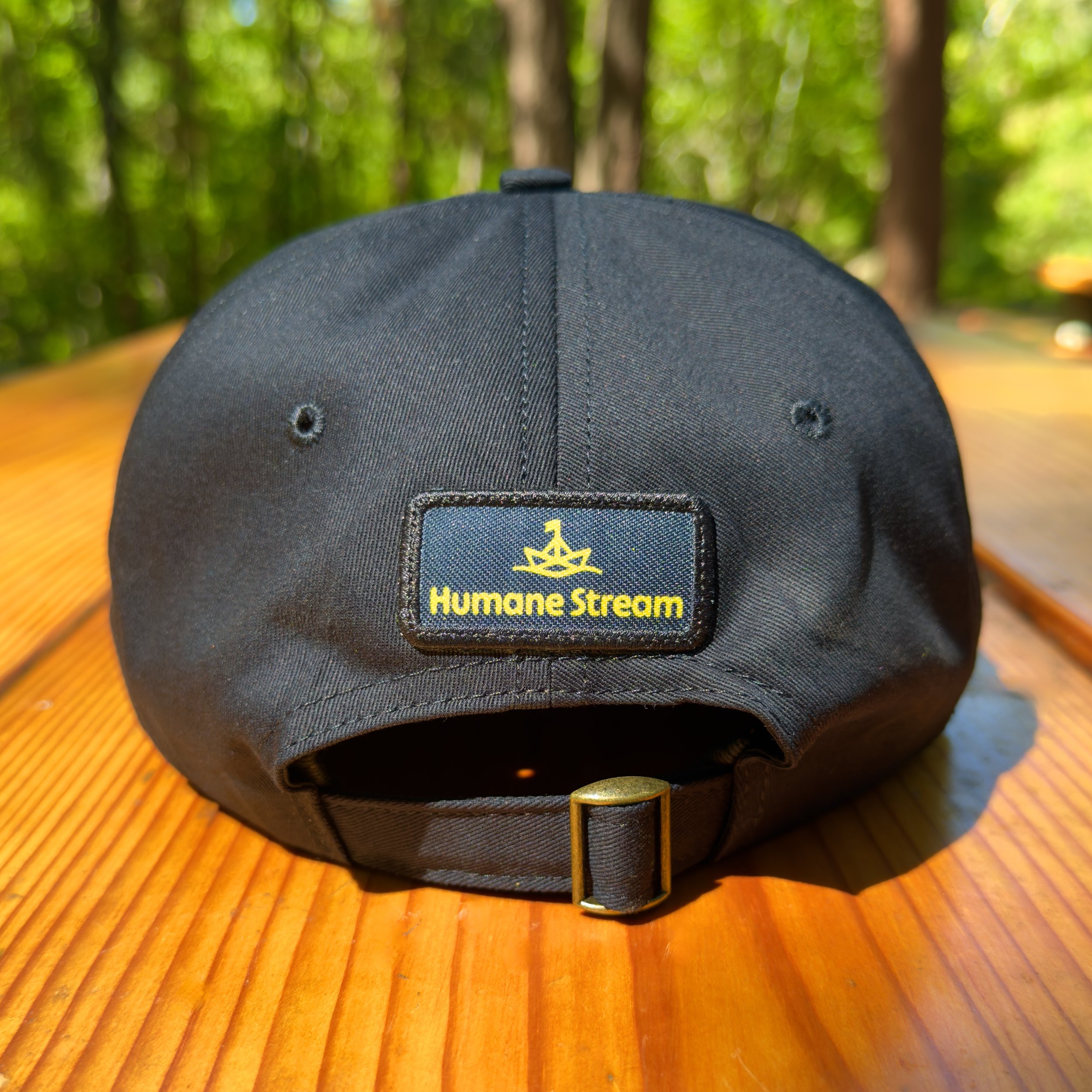 Image of the back of a black baseball cap with a Humane Stream logo