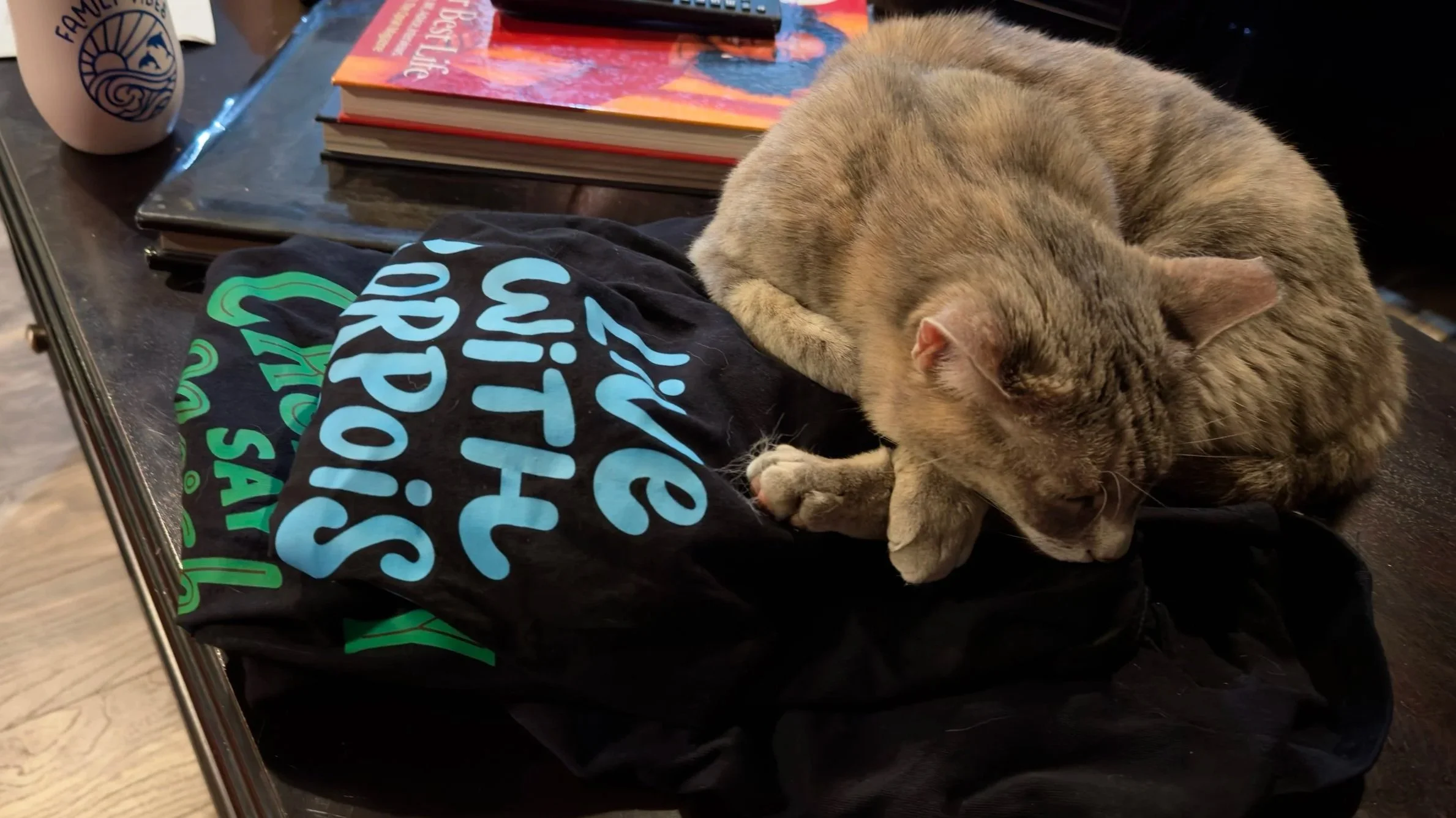 A cat is sleeping on top of several shirts